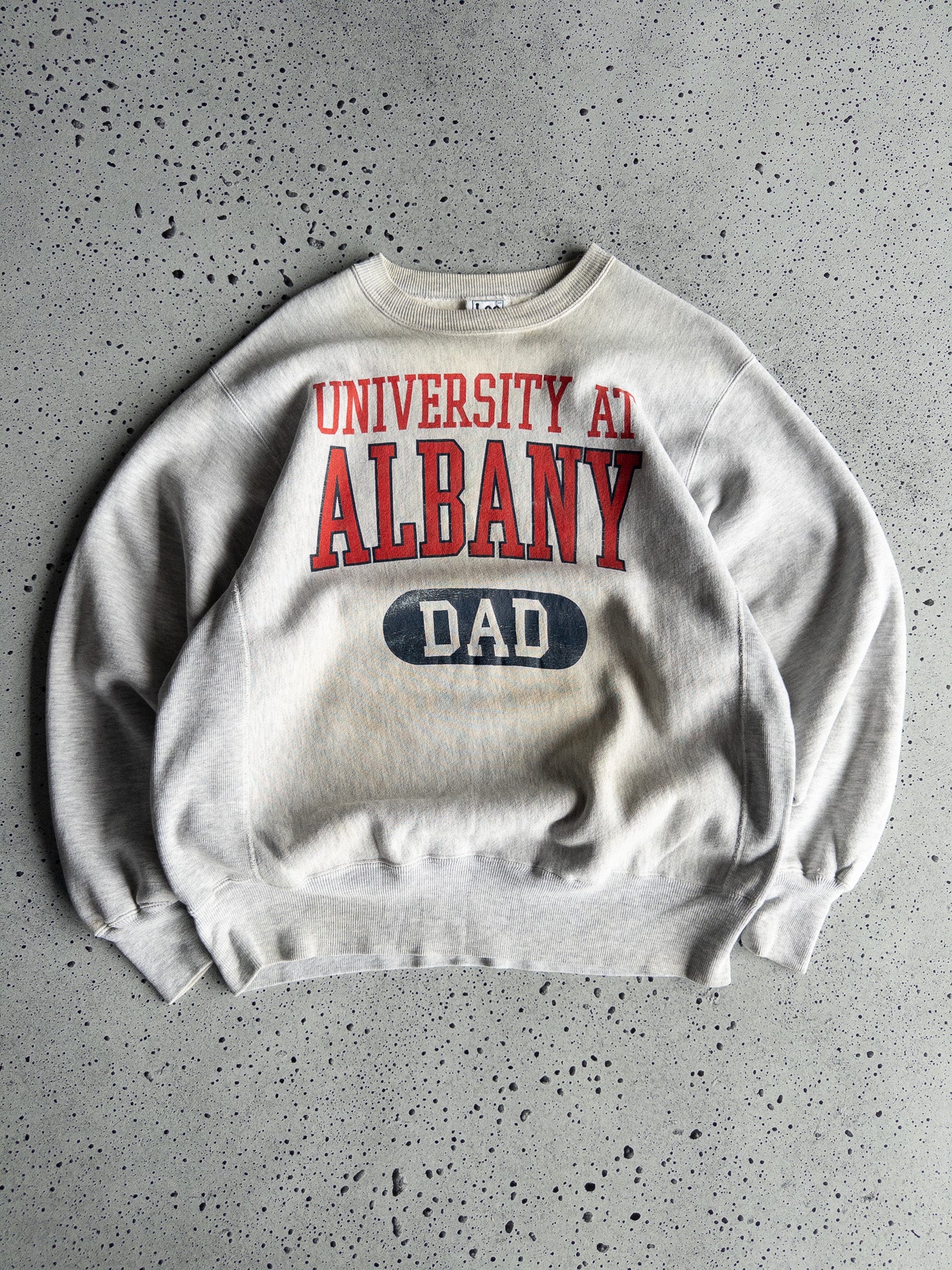 Vintage '90s University DAD Sweatshirt (L)