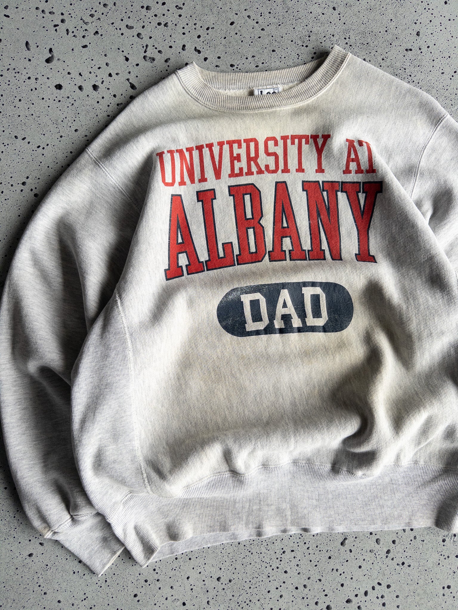 Vintage '90s University DAD Sweatshirt (L)