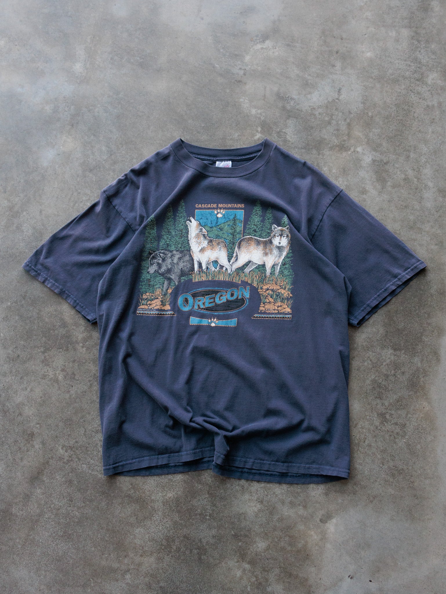 Vintage 1996 Navy Oregon Tee (XL)