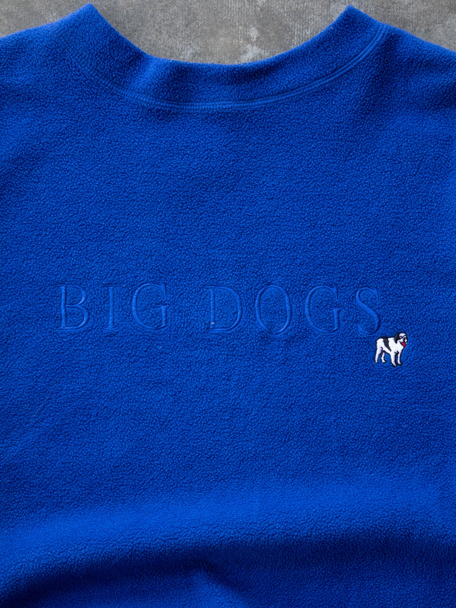 Vintage 00s Blue Big Dogs Spell Out Fleece Sweatshirt (L)