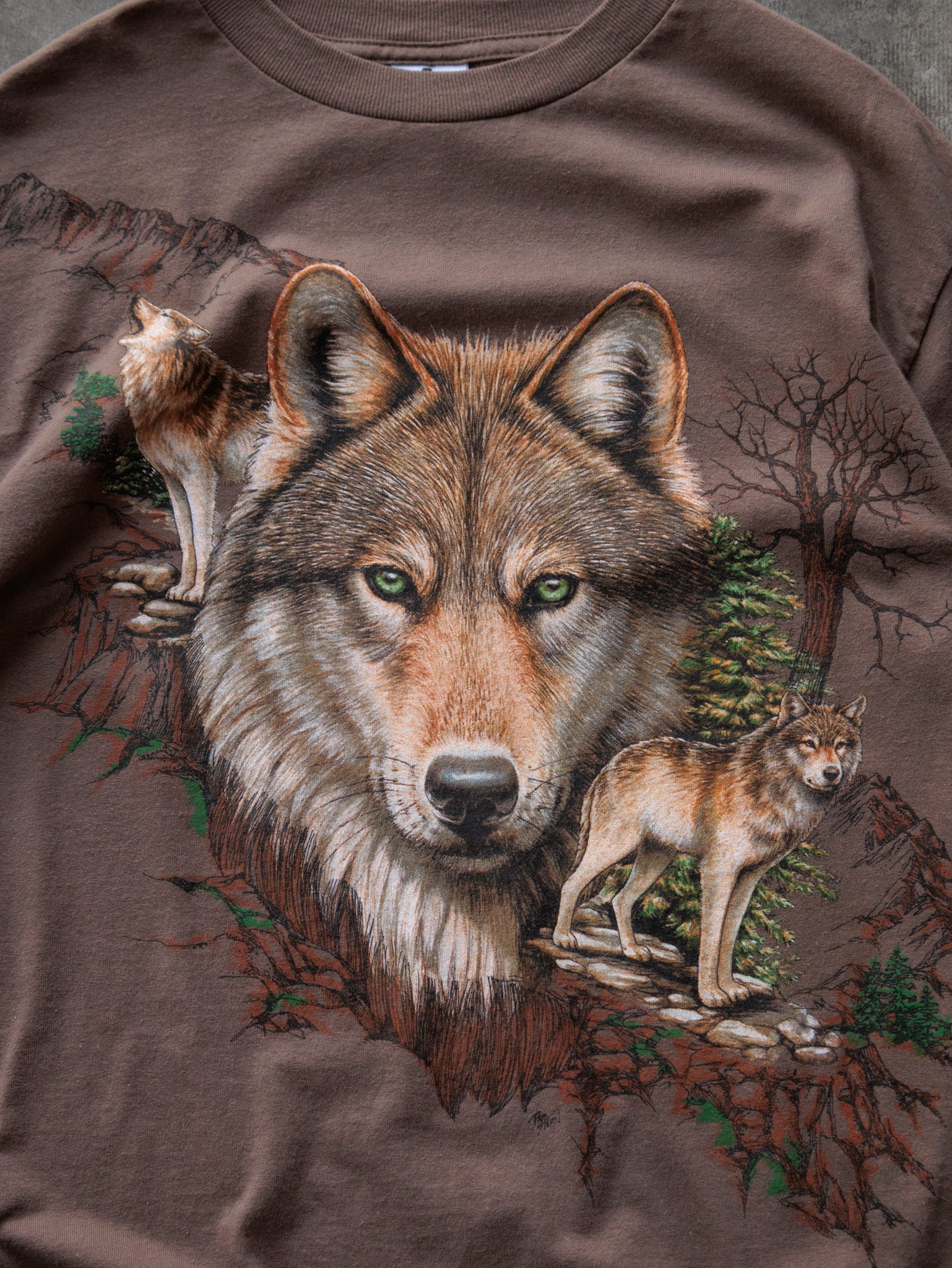 Vintage Brown Wolf Graphic Tee (M)