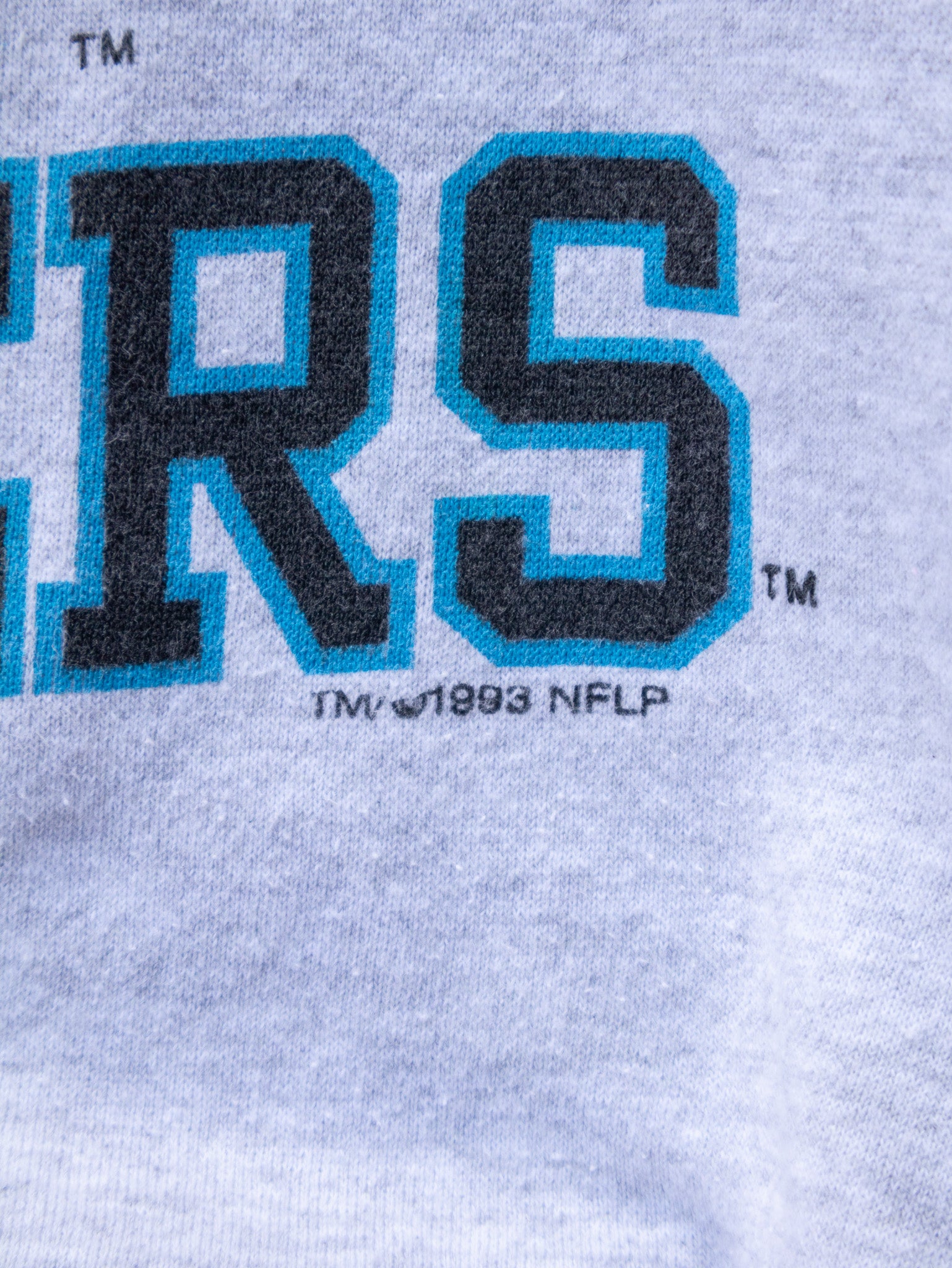 Vintage 1993 Carolina Panthers Crewneck (XL)