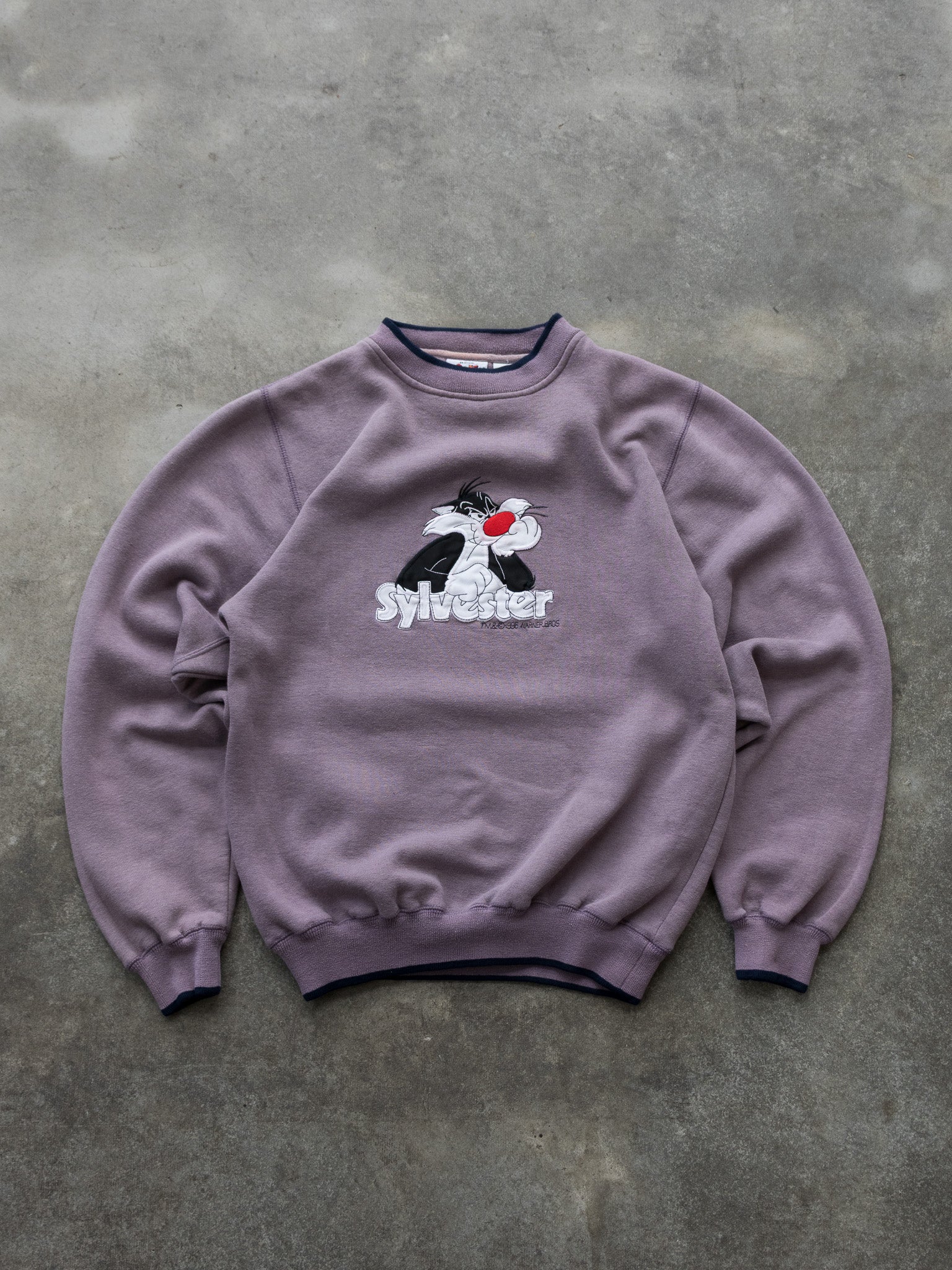 Vintage 1996 Looney Tunes Sylvester Sweatshirt (M)