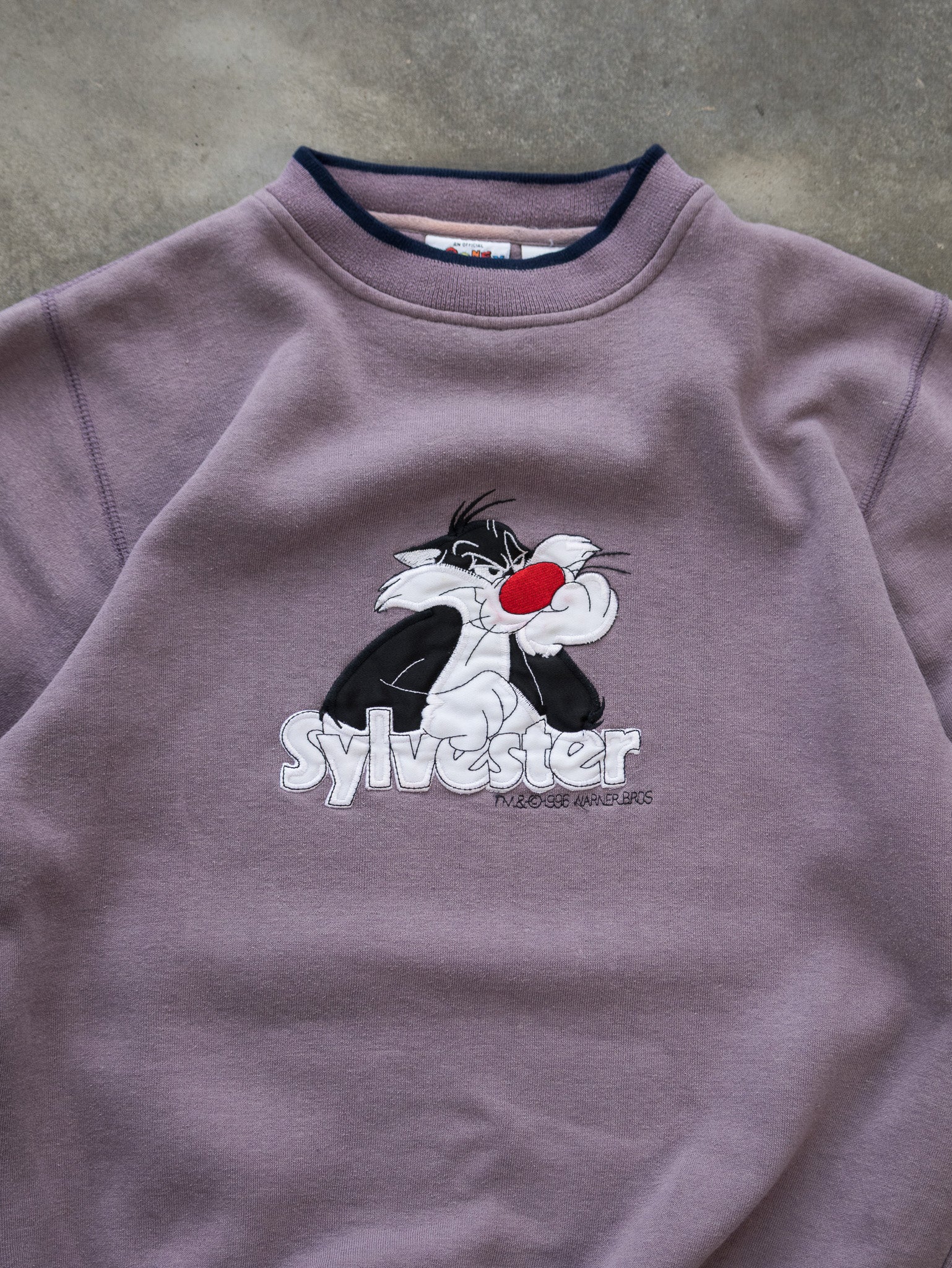Vintage 1996 Looney Tunes Sylvester Sweatshirt (M)