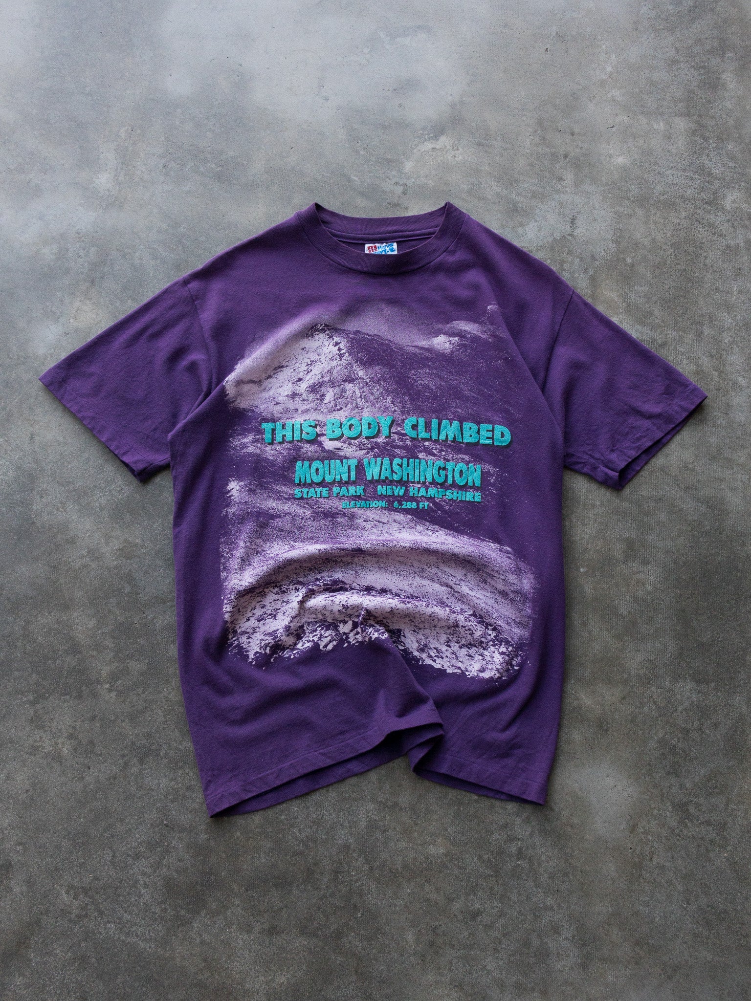 Vintage 90s Purple This Body Climbed Mount Washington Tee (M)