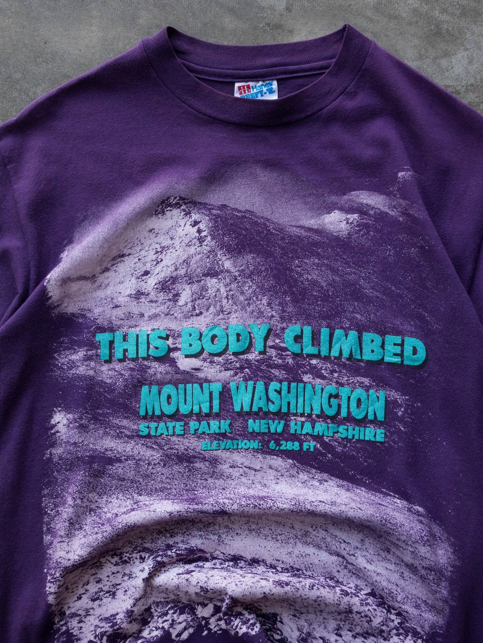 Vintage 90s Purple This Body Climbed Mount Washington Tee (M)