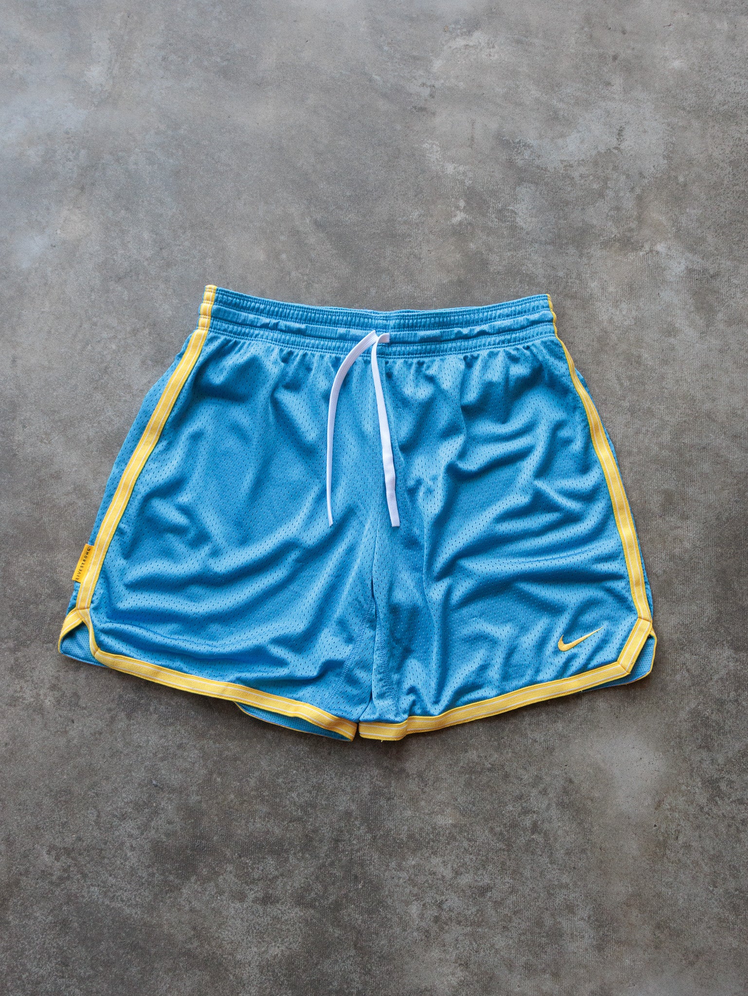 Vintage 00s Blue Nike Mesh Shorts (M)