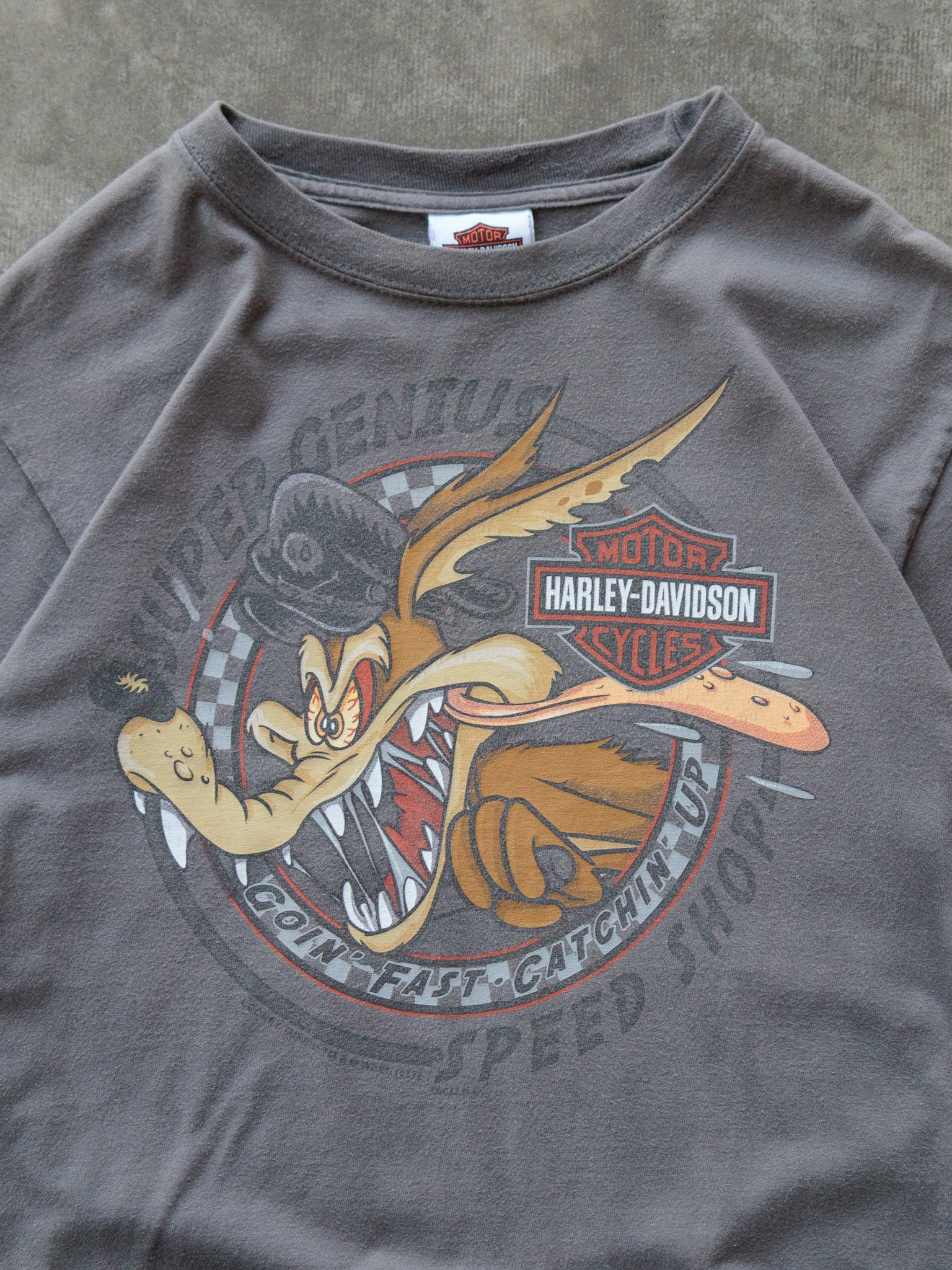 Vintage Grey Harley-Davidson Wile E Coyote Tee (S)