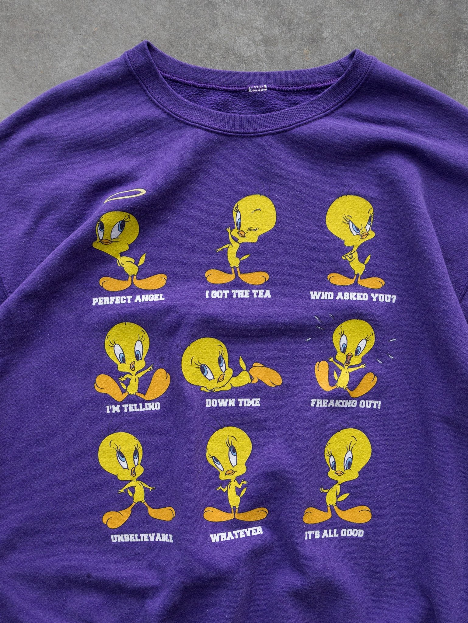 Vintage Purple Tweety Sweatshirt (M)