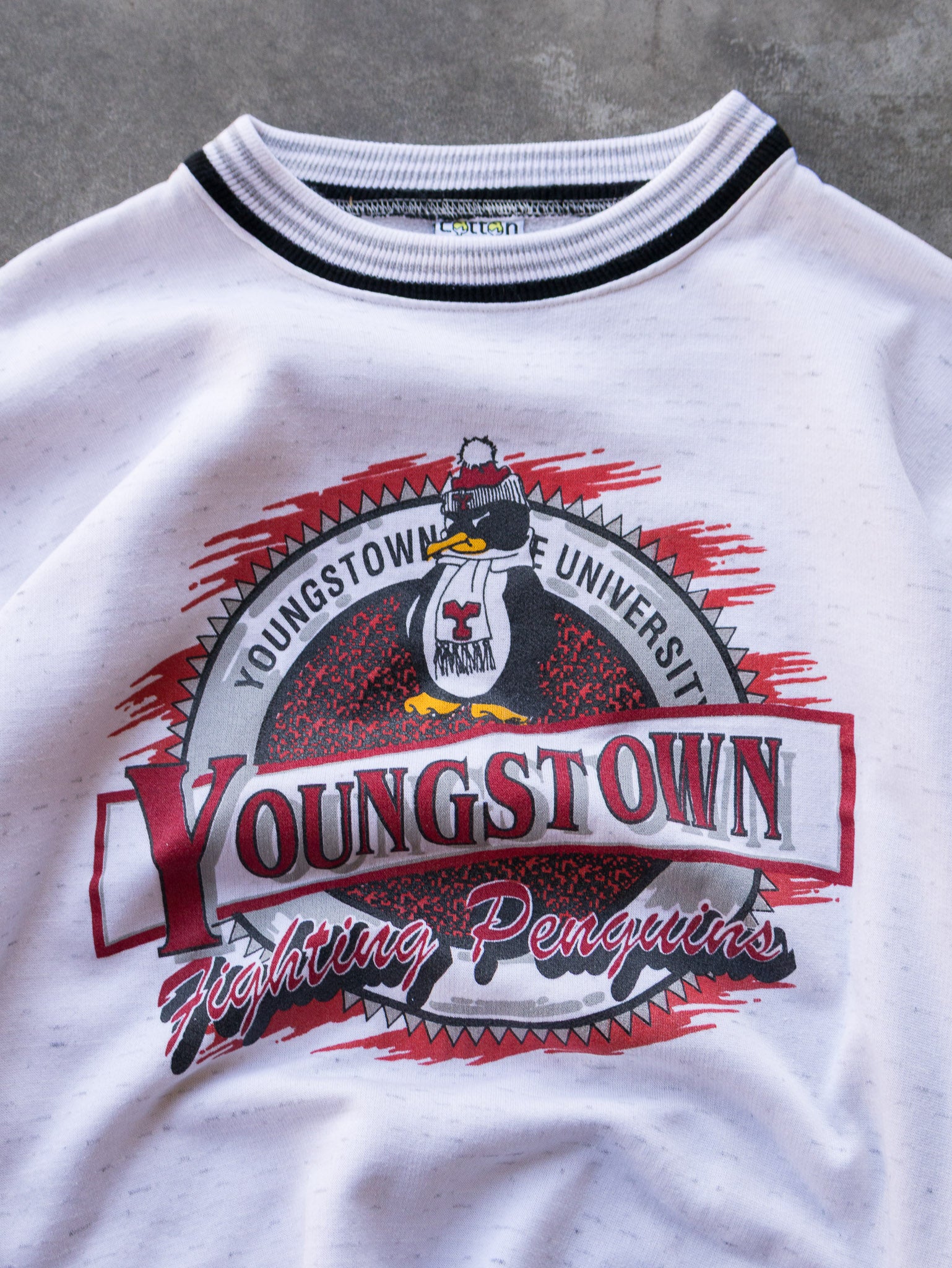Vintage 90s Youngstown State University Fighting Penguins Sweatshirt (XL)