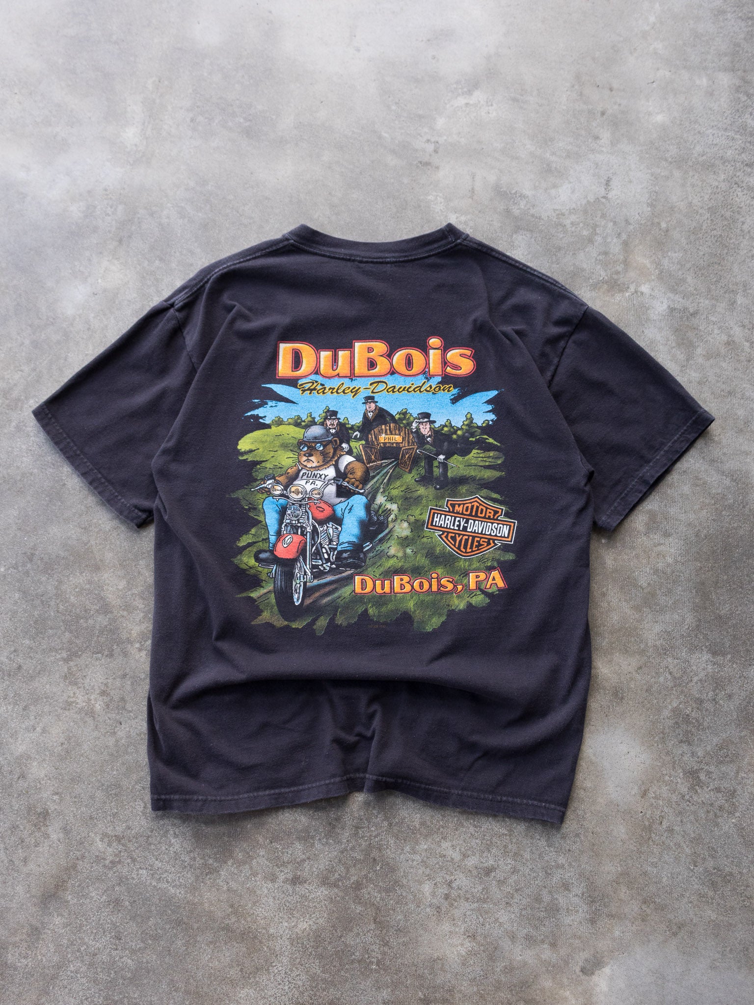 Vintage 2006 Harley-Davidson DuBois PA Tee (L)