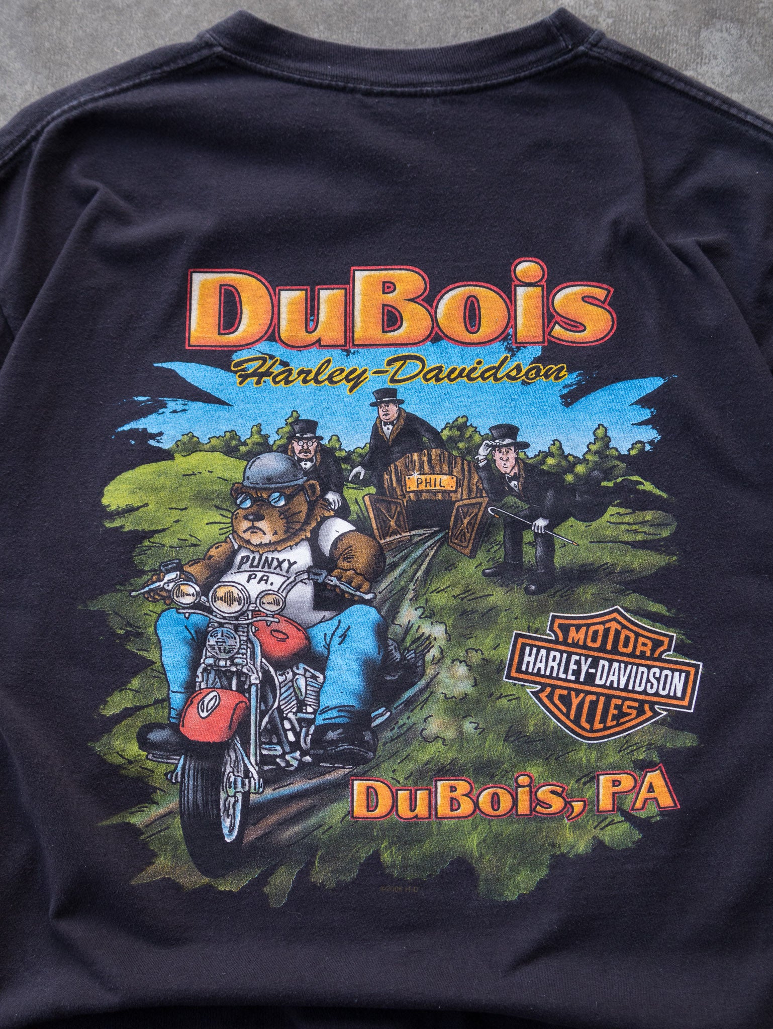 Vintage 2006 Harley-Davidson DuBois PA Tee (L)