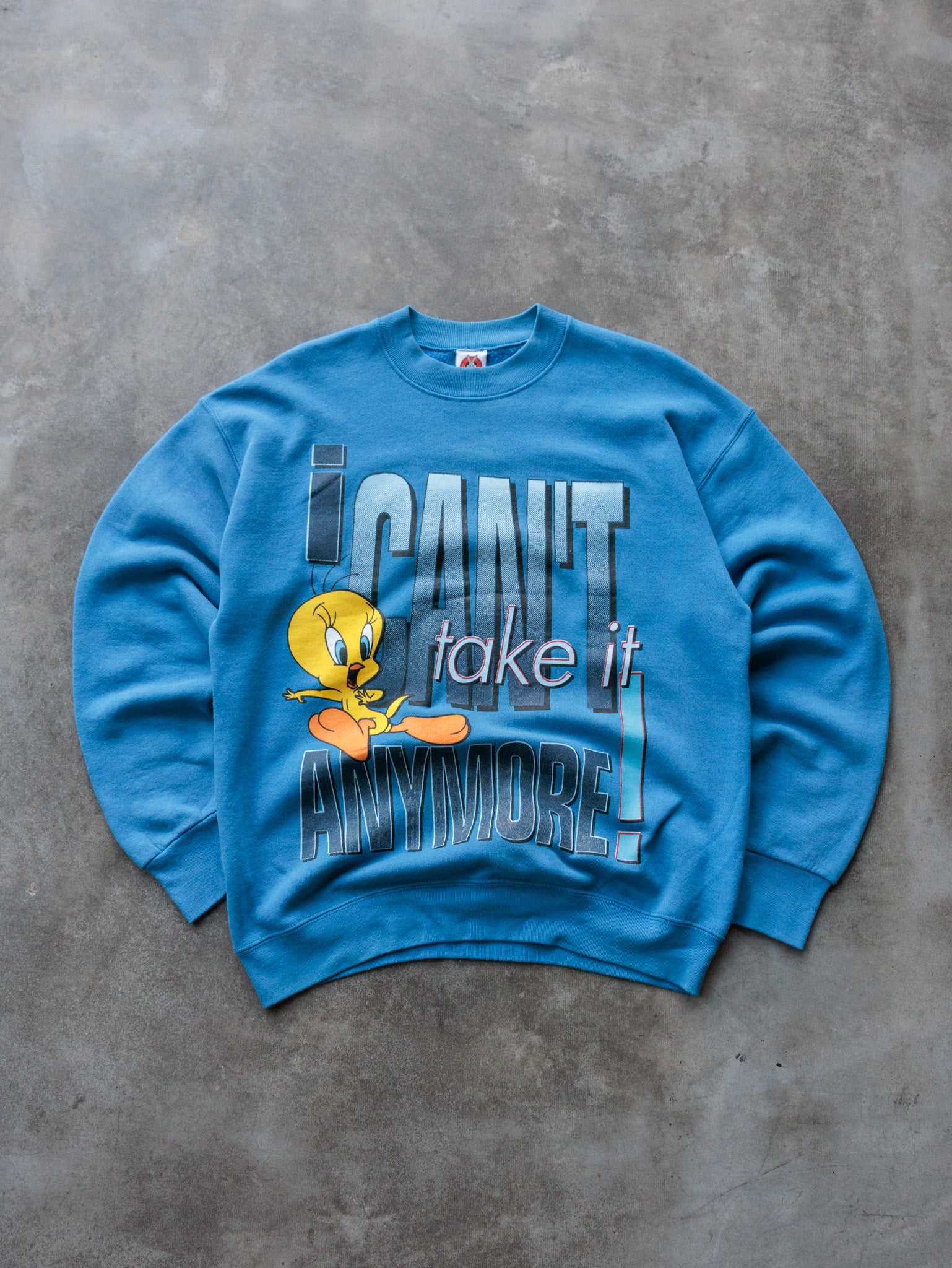 Vintage 90s Blue Looney Tunes Tweety Bird Sweatshirt (14-16Y)