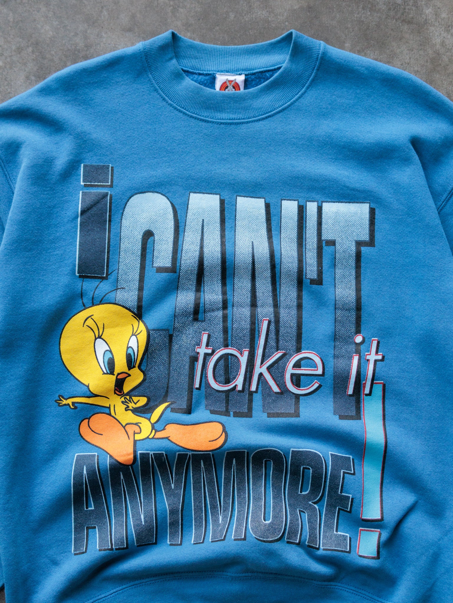Vintage 90s Blue Looney Tunes Tweety Bird Sweatshirt (14-16Y)
