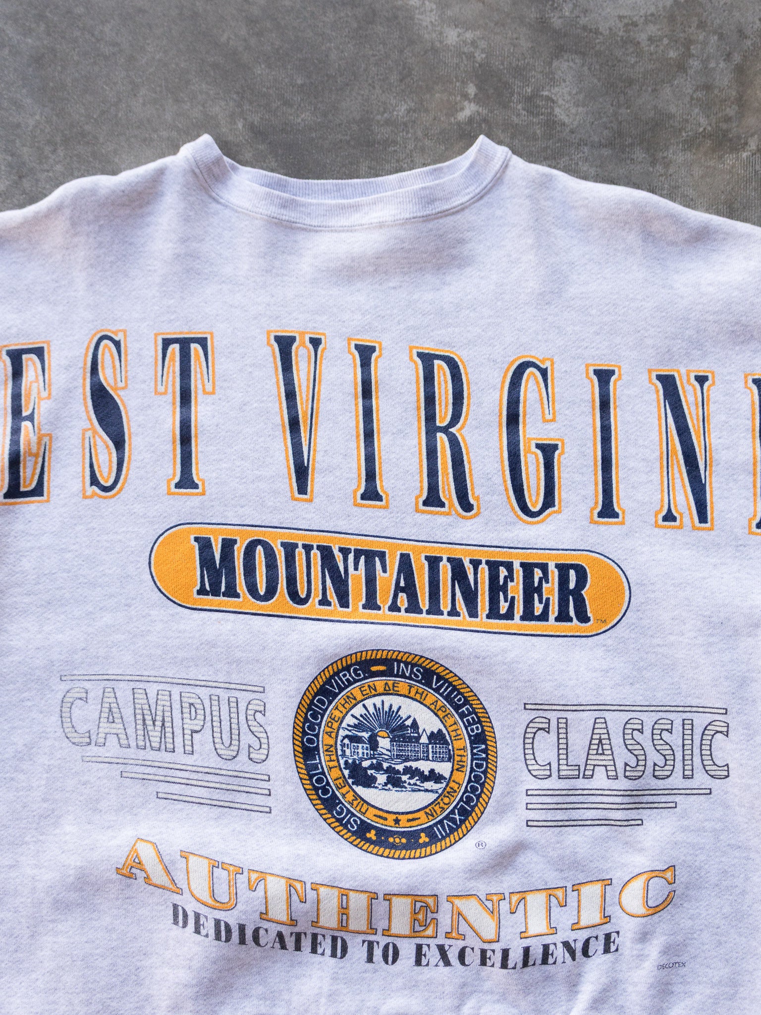 Vintage 90s Grey West Virginia Mountaineers Sweatshirt (L/XL)