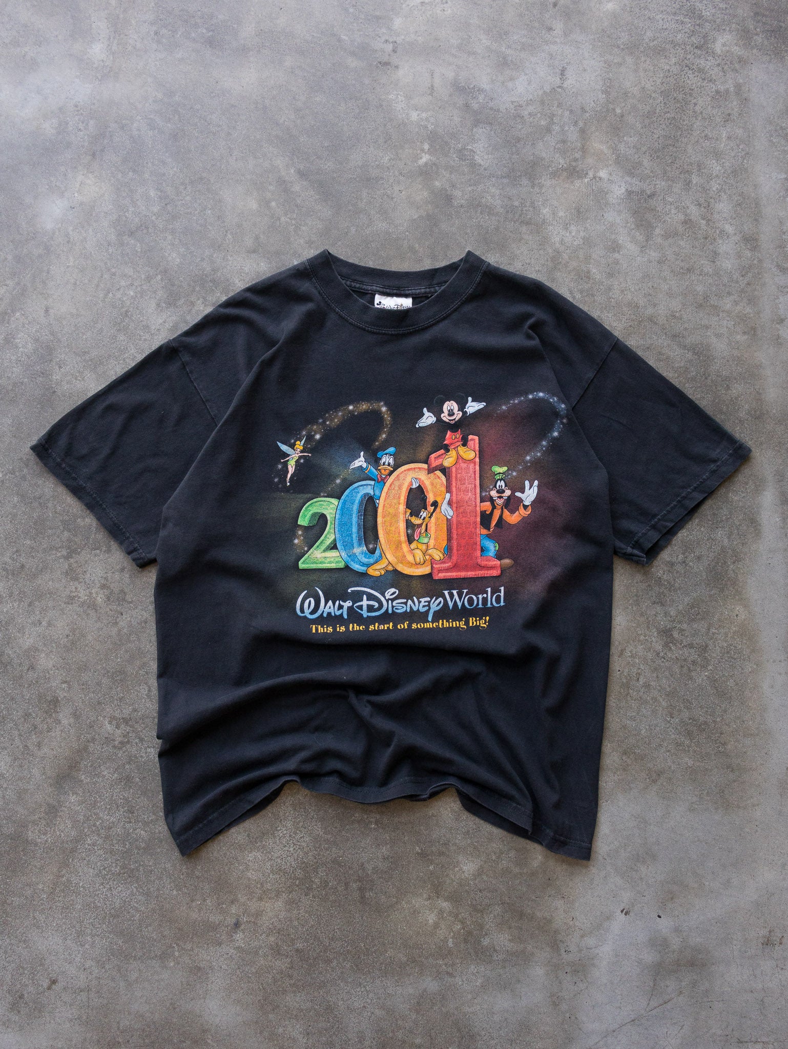 Vintage 2001 Walt Disney World Tee (M)