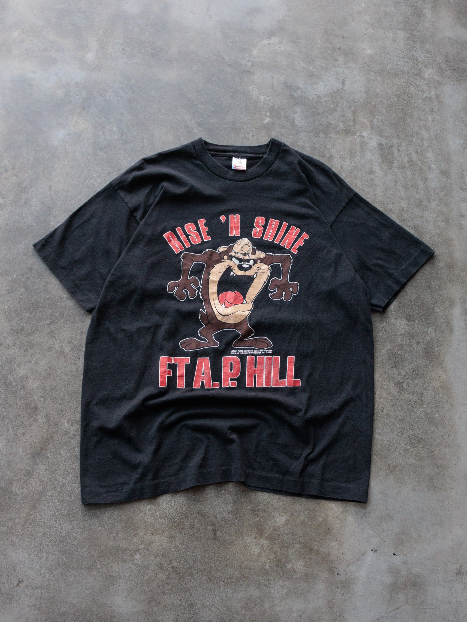 Vintage 90s Black Looney Tunes Taz Ft A.P. Hill Tee (XL)