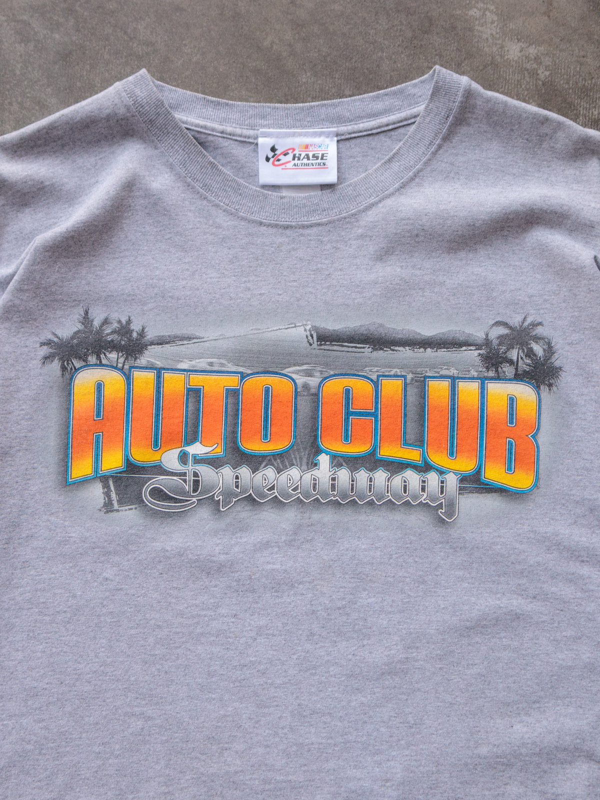 Vintage 2010 Grey NASCAR Auto Club Speedway Tee (-)