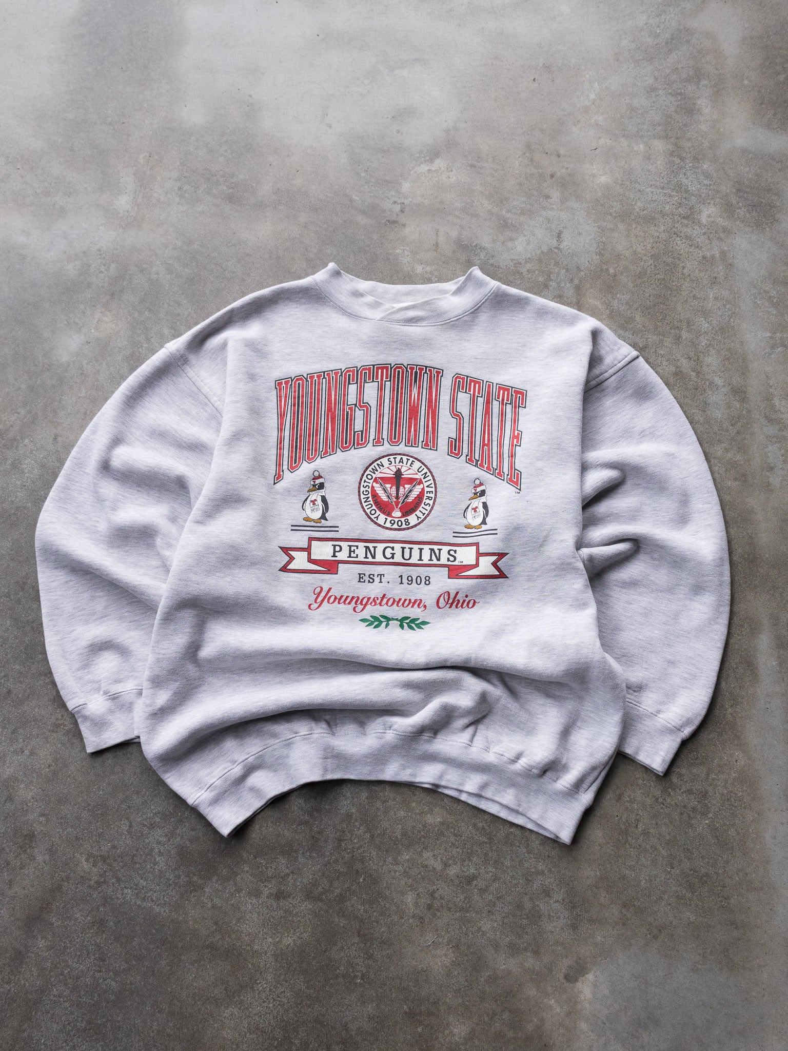 Vintage Grey Youngstown State Sweatshirt (L)