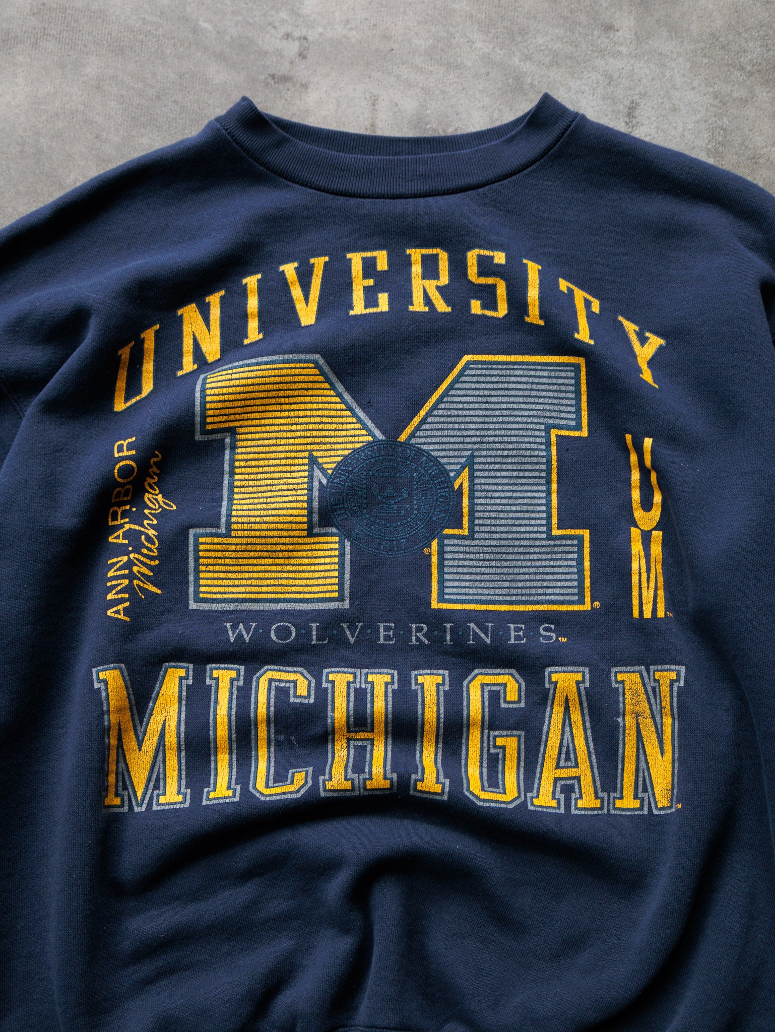Vintage 90s University of Michigan Wolverines Sweatshirt (L)