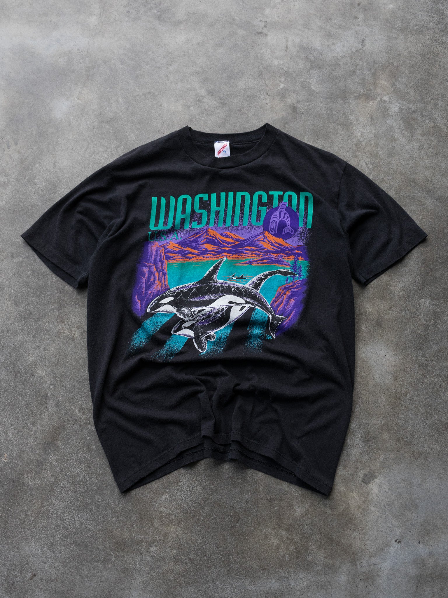 Vintage 90s Washington Orca Wildlife Tee (XL)