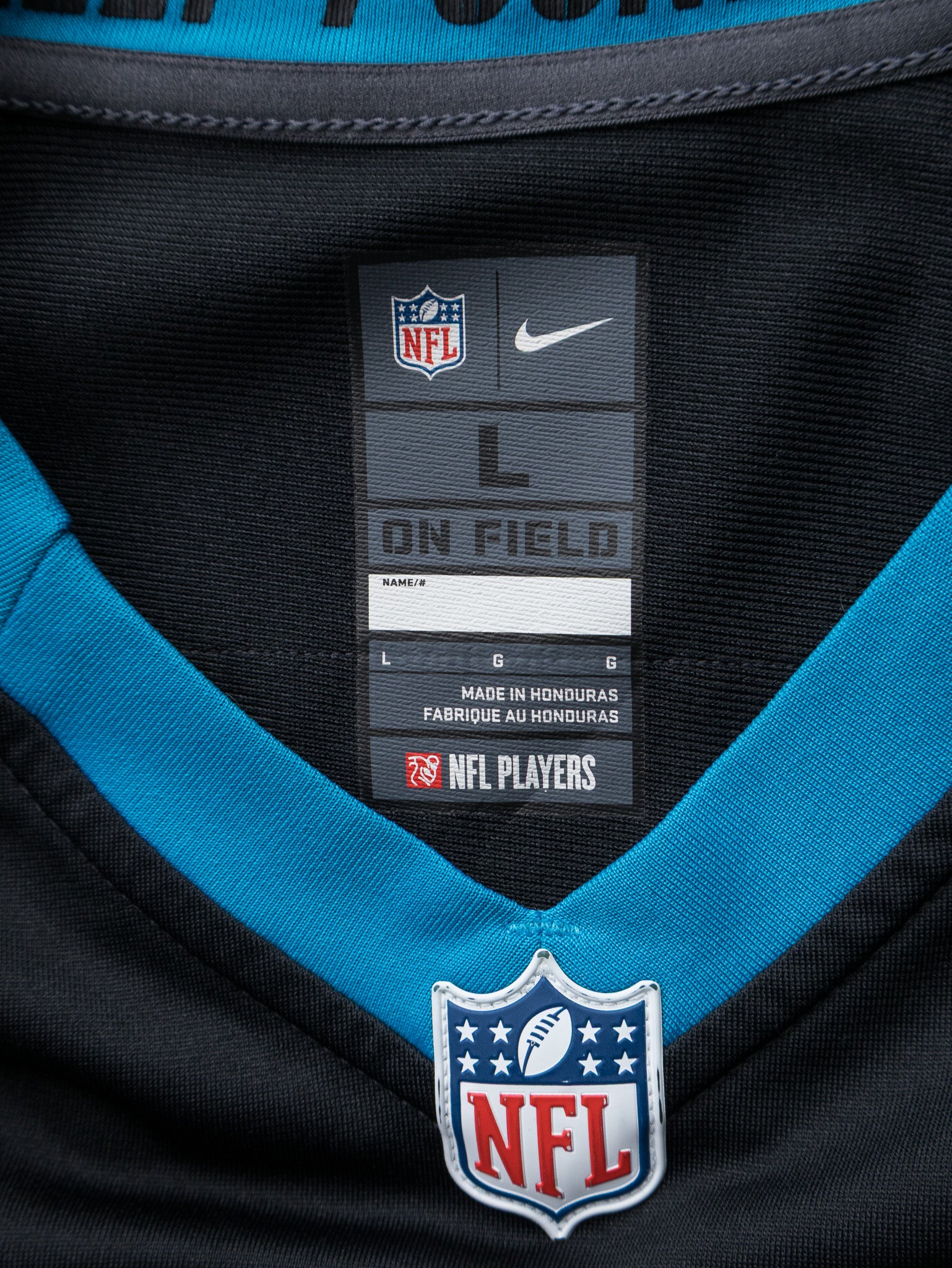 Vintage Nike Carolina Panthers NFL Jersey (L)