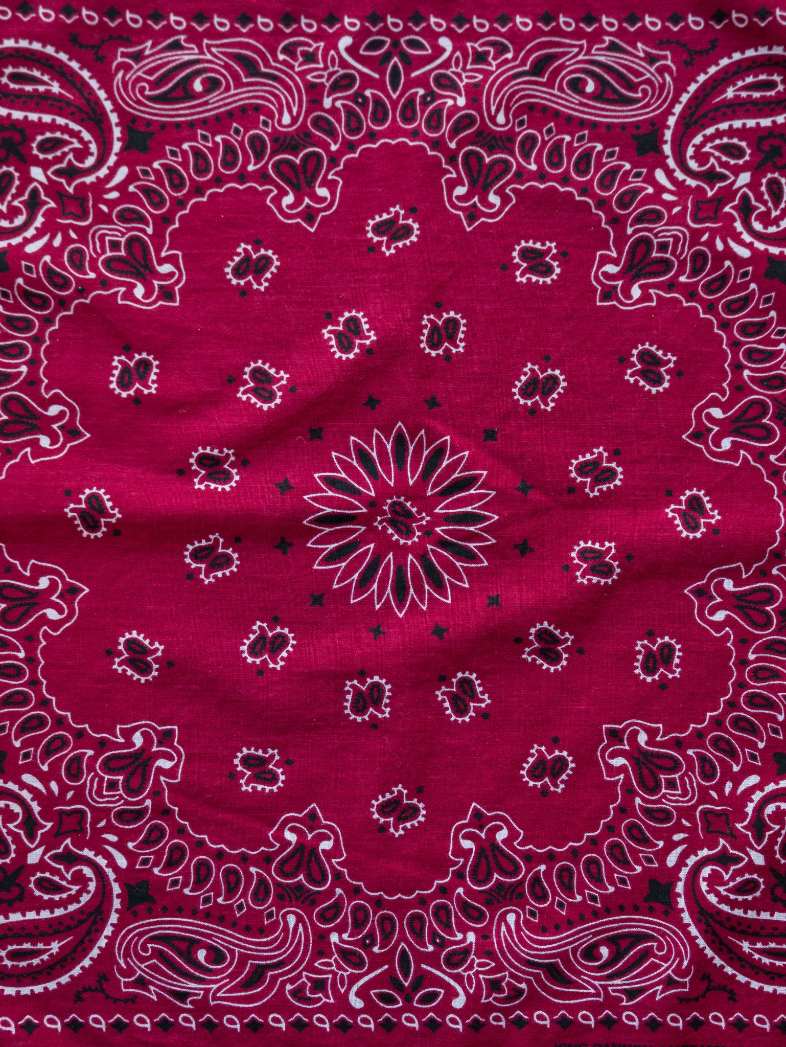 Vintage Red Paisley Bandana
