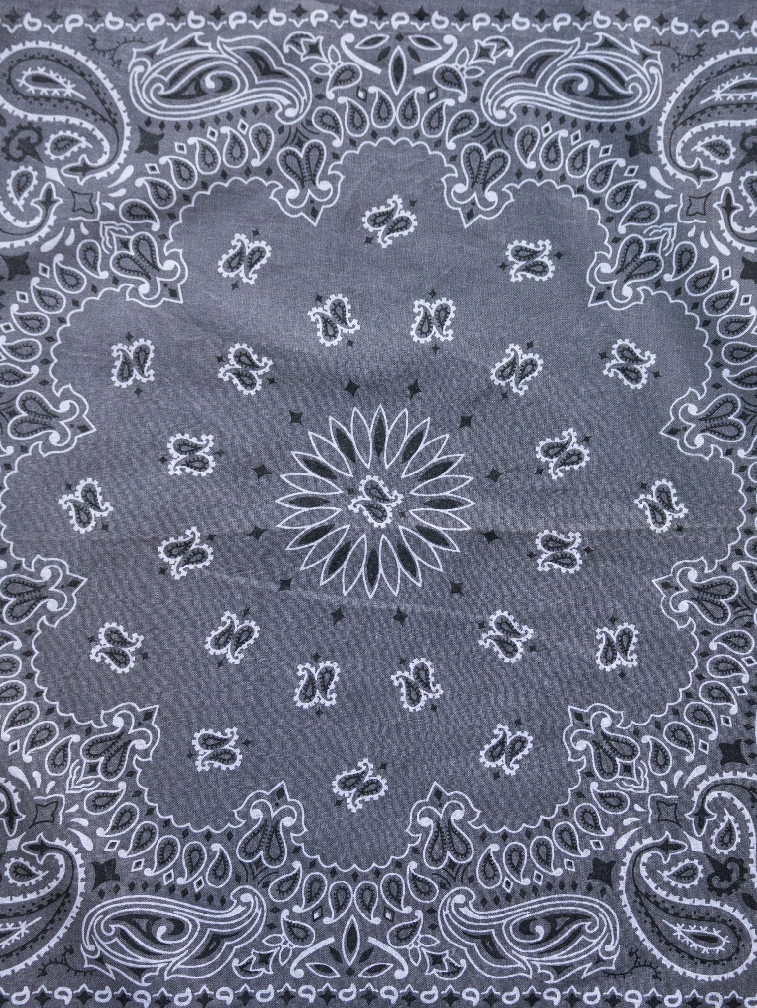 Vintage Charcoal Paisley Bandana