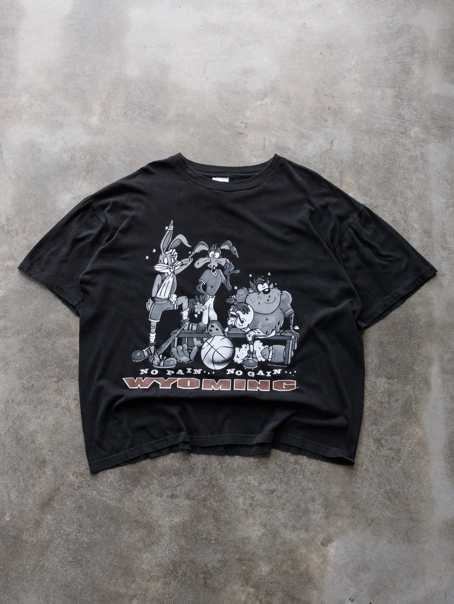 Vintage 1996 Black Looney Tunes No Pain No Gain Wyoming Tee (XL)
