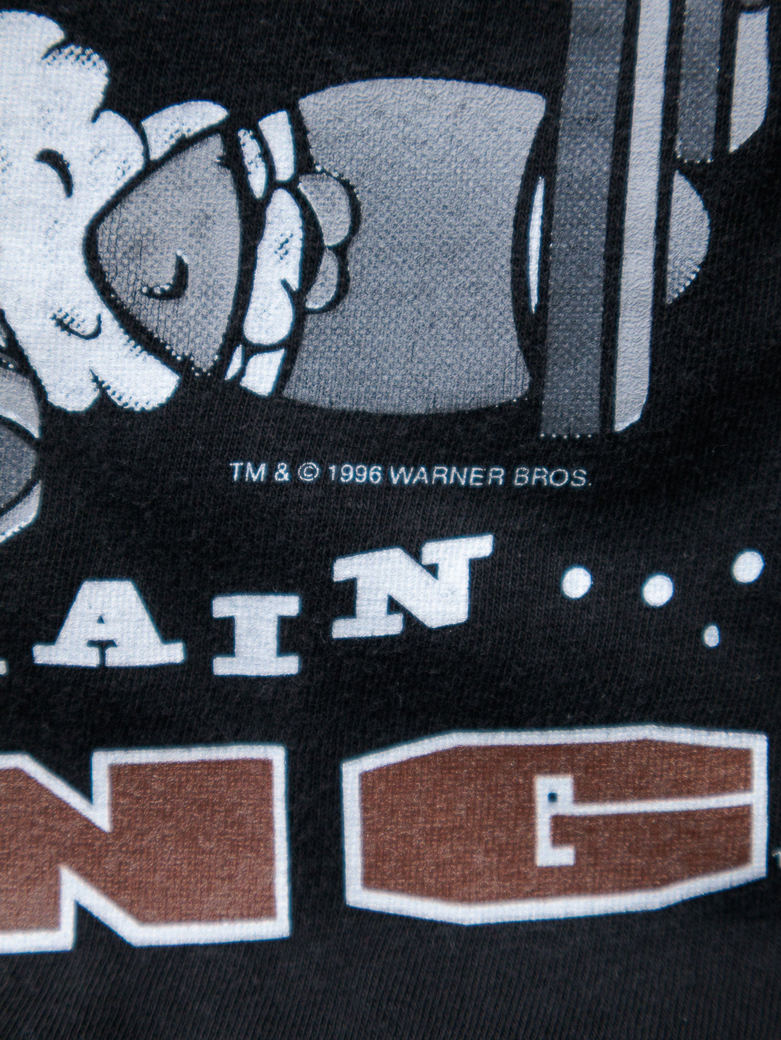 Vintage 1996 Black Looney Tunes No Pain No Gain Wyoming Tee (XL)