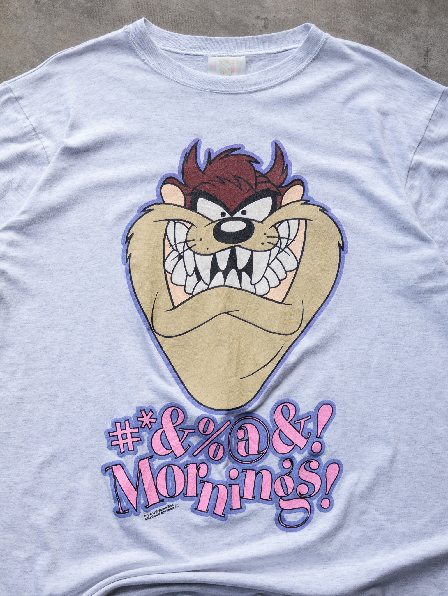 Vintage 1995 Looney Tunes Tasmanian Devil Mornings Tee (XL)