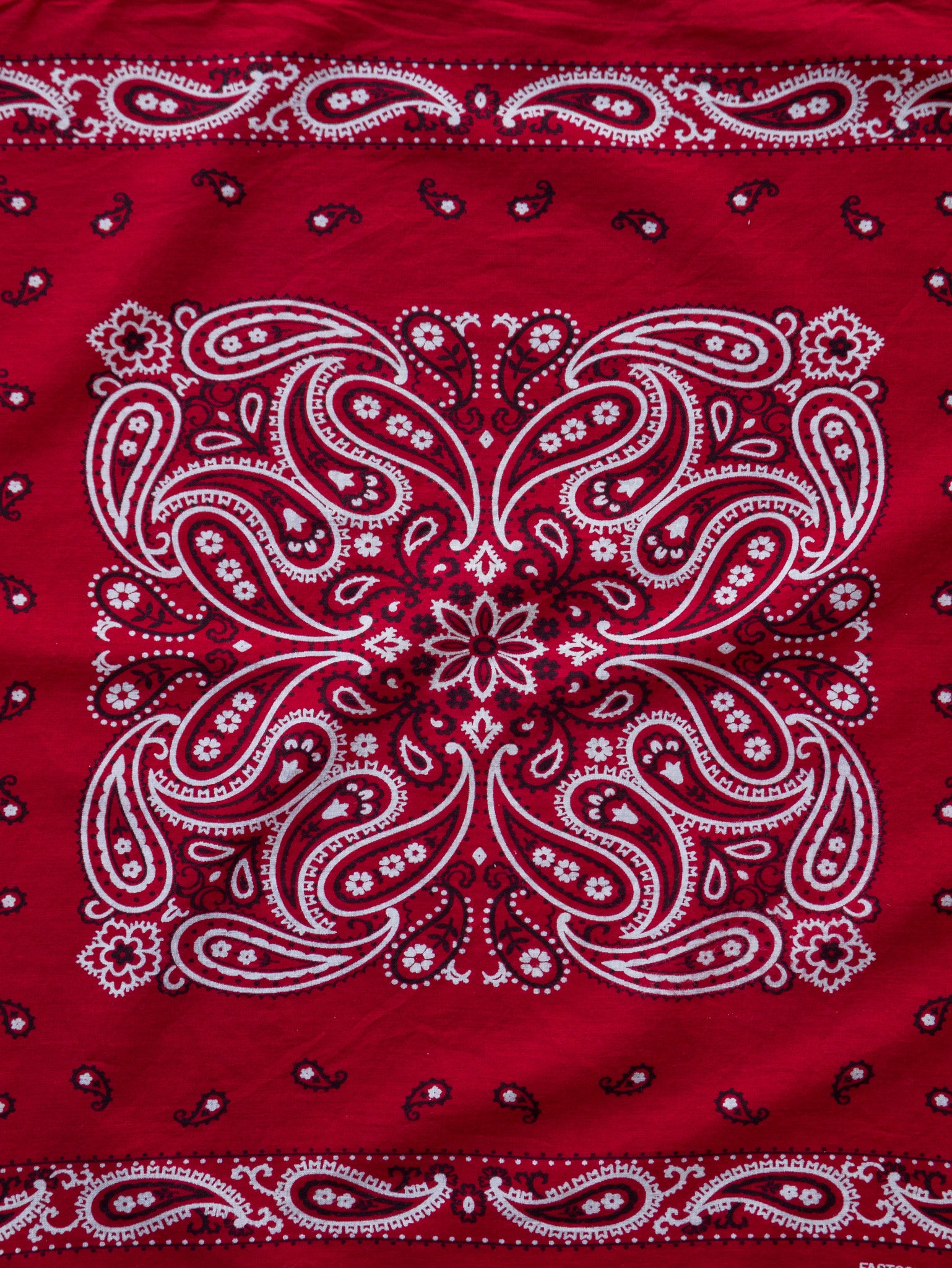 Vintage Bright Red Paisley Bandana