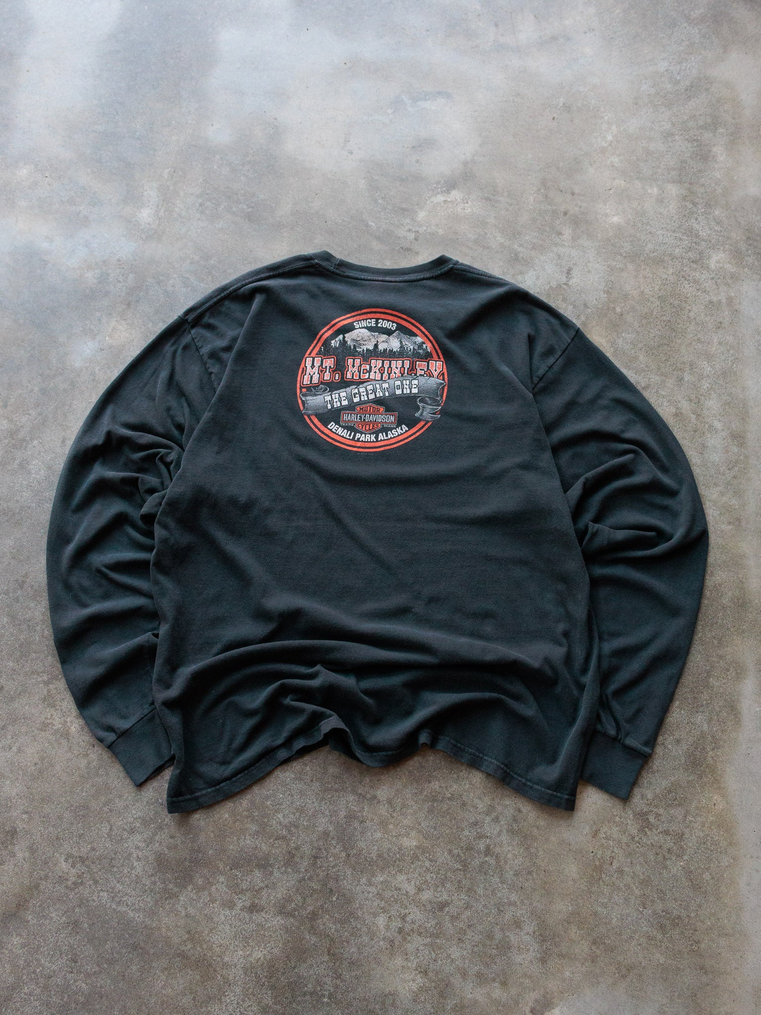 Vintage Harley-Davidson Mt. McKinley Long Sleeve  (XL)