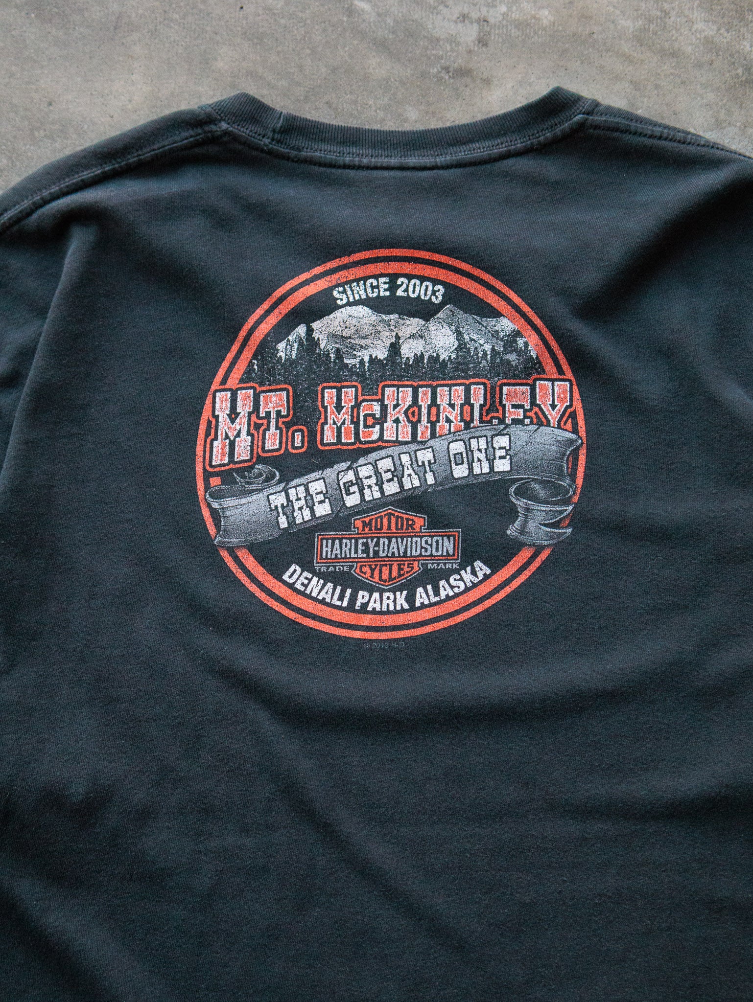 Vintage Harley-Davidson Mt. McKinley Long Sleeve  (XL)