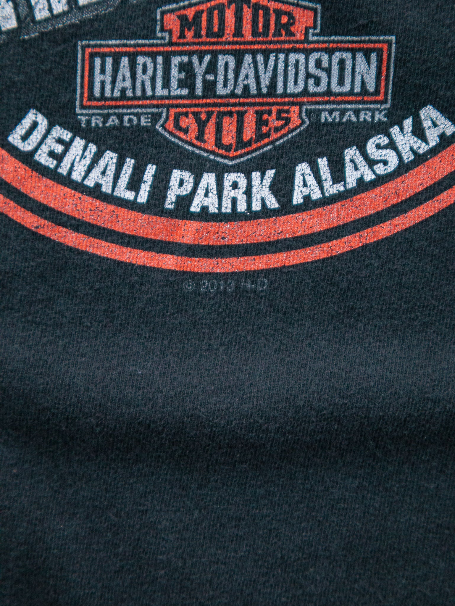Vintage Harley-Davidson Mt. McKinley Long Sleeve  (XL)