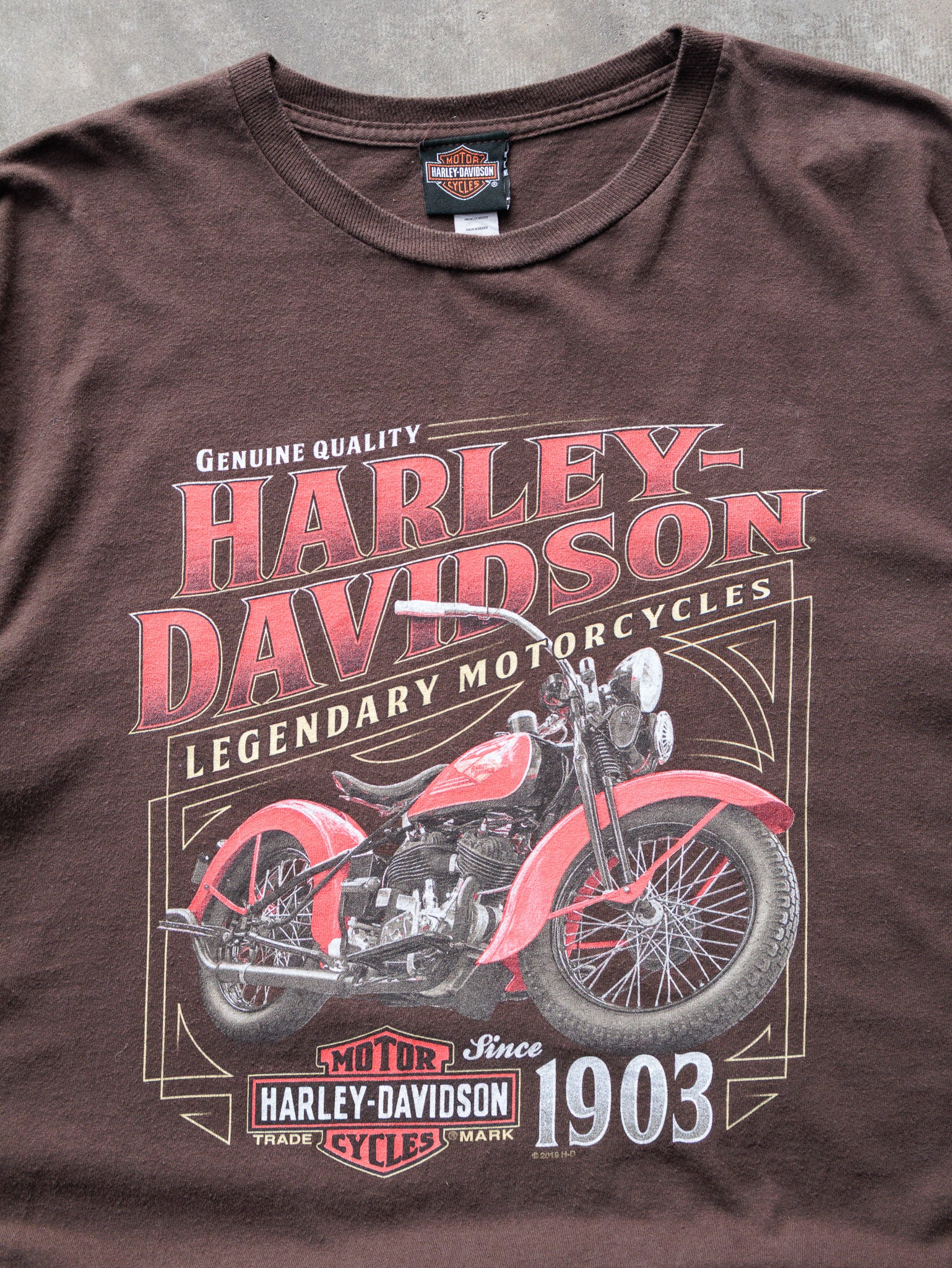2019 Brown Harley-Davidson Grand Prairie Texas Tee (L)