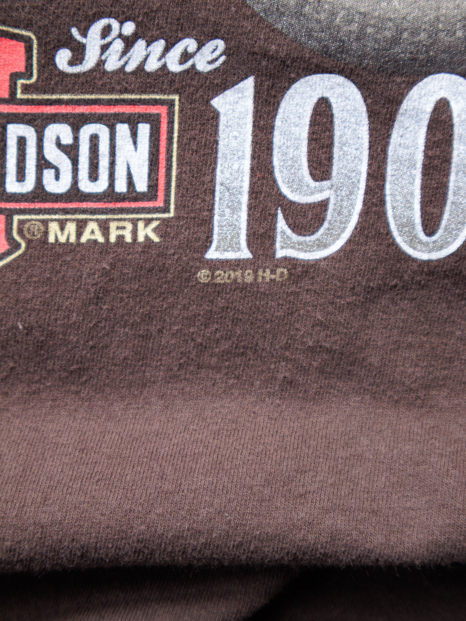 2019 Brown Harley-Davidson Grand Prairie Texas Tee (L)