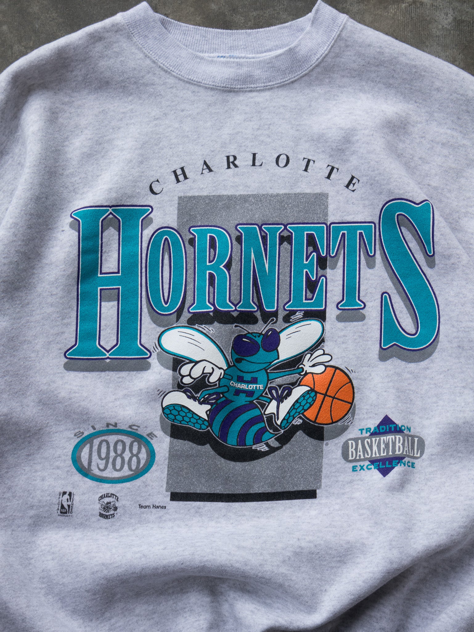Vintage 90s Charlotte Hornets Sweatshirt (2XL) Vintage 90s Charlotte Hornets Sweatshirt (2XL)