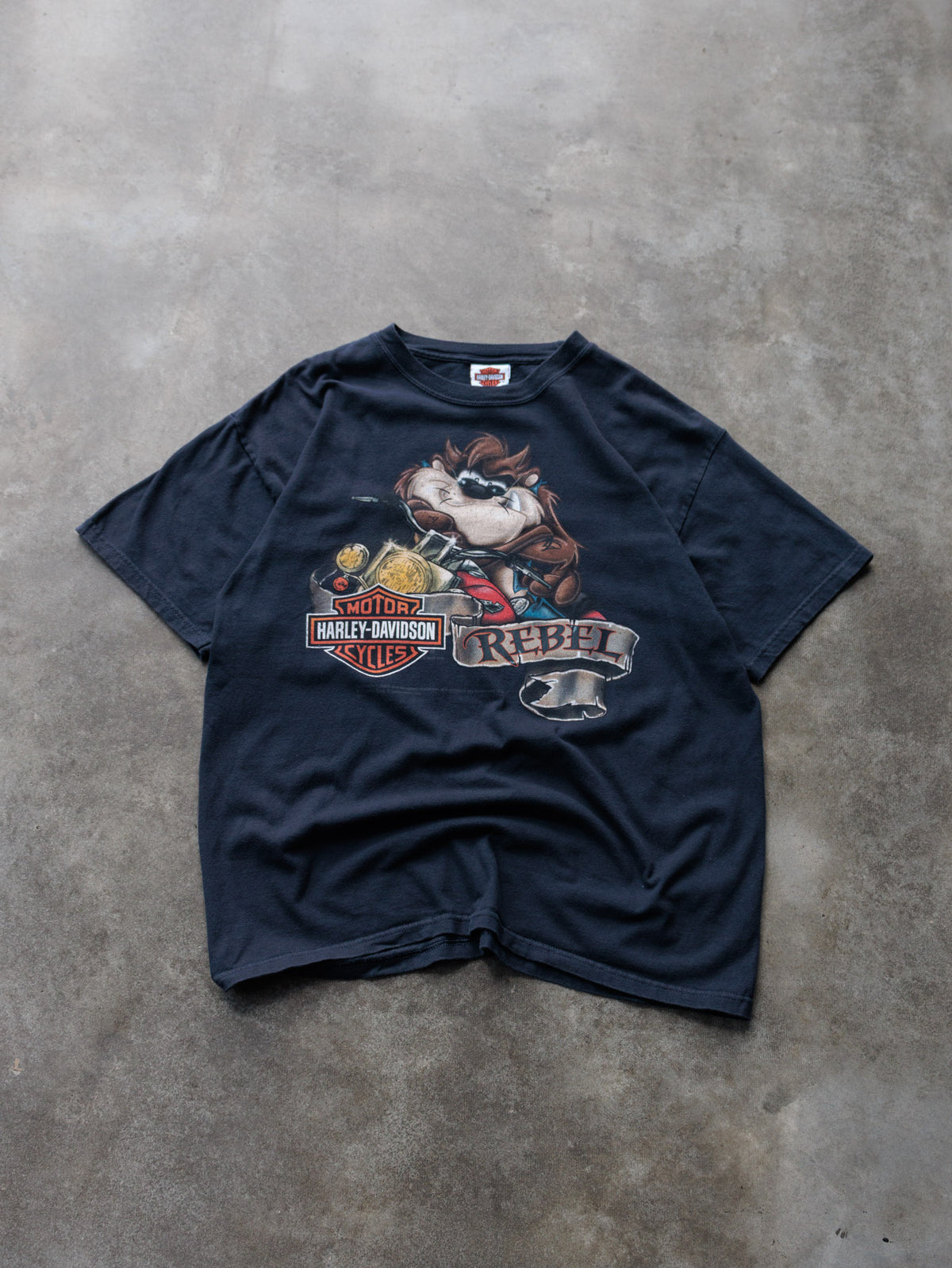 Vintage 2010 Black Harley-Davidson Buffalo New York Tee (L)