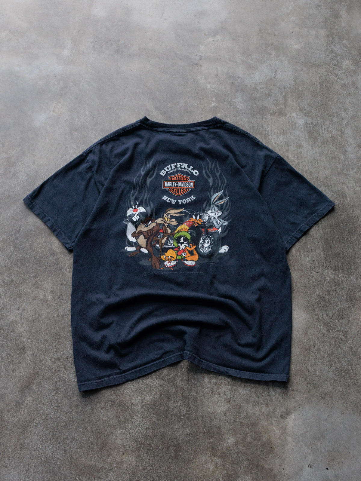 Vintage 2010 Black Harley-Davidson Buffalo New York Tee (L)