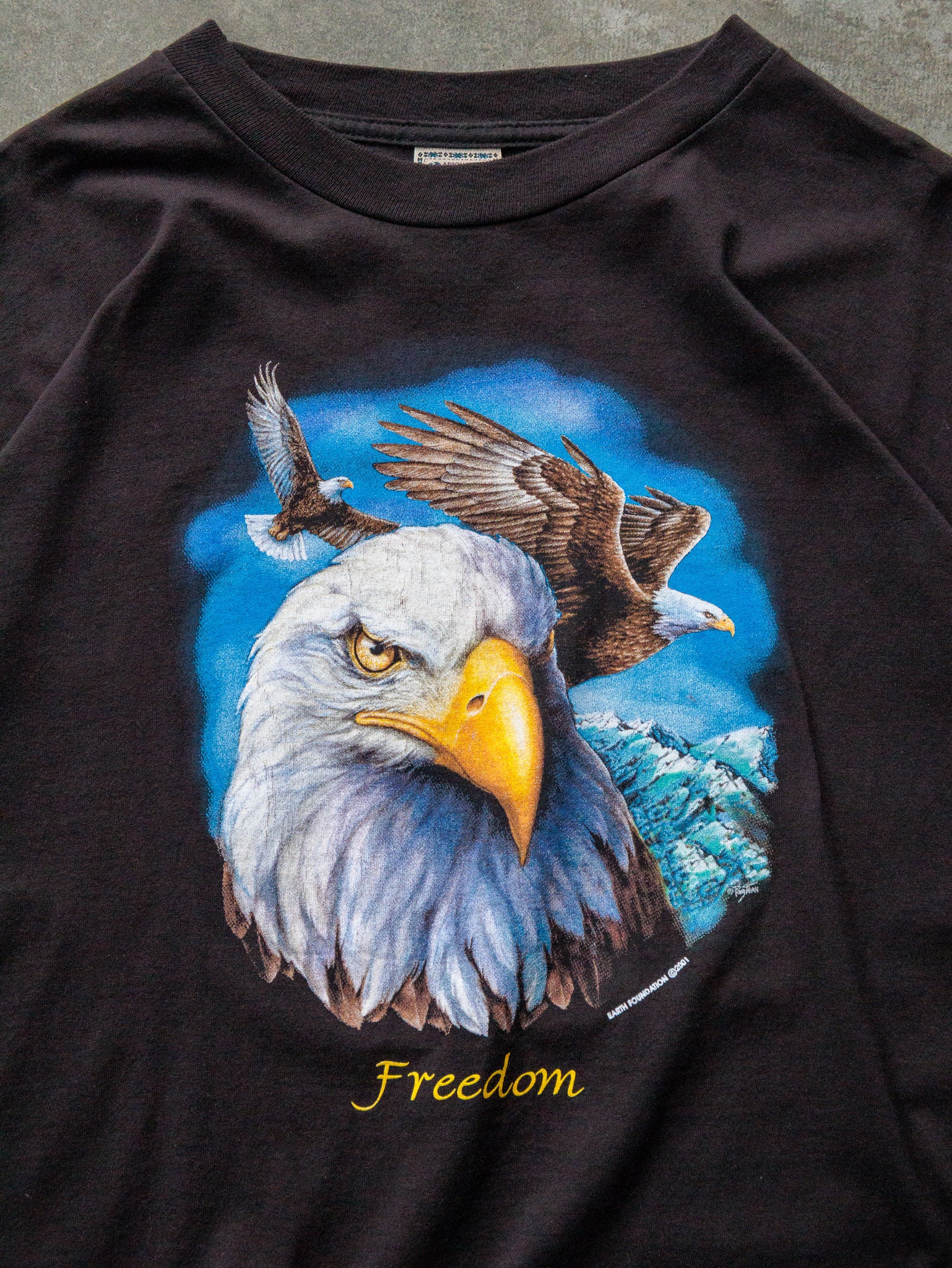 Vintage 2001 Black Eagle Freedom Graphic Tee (XL)