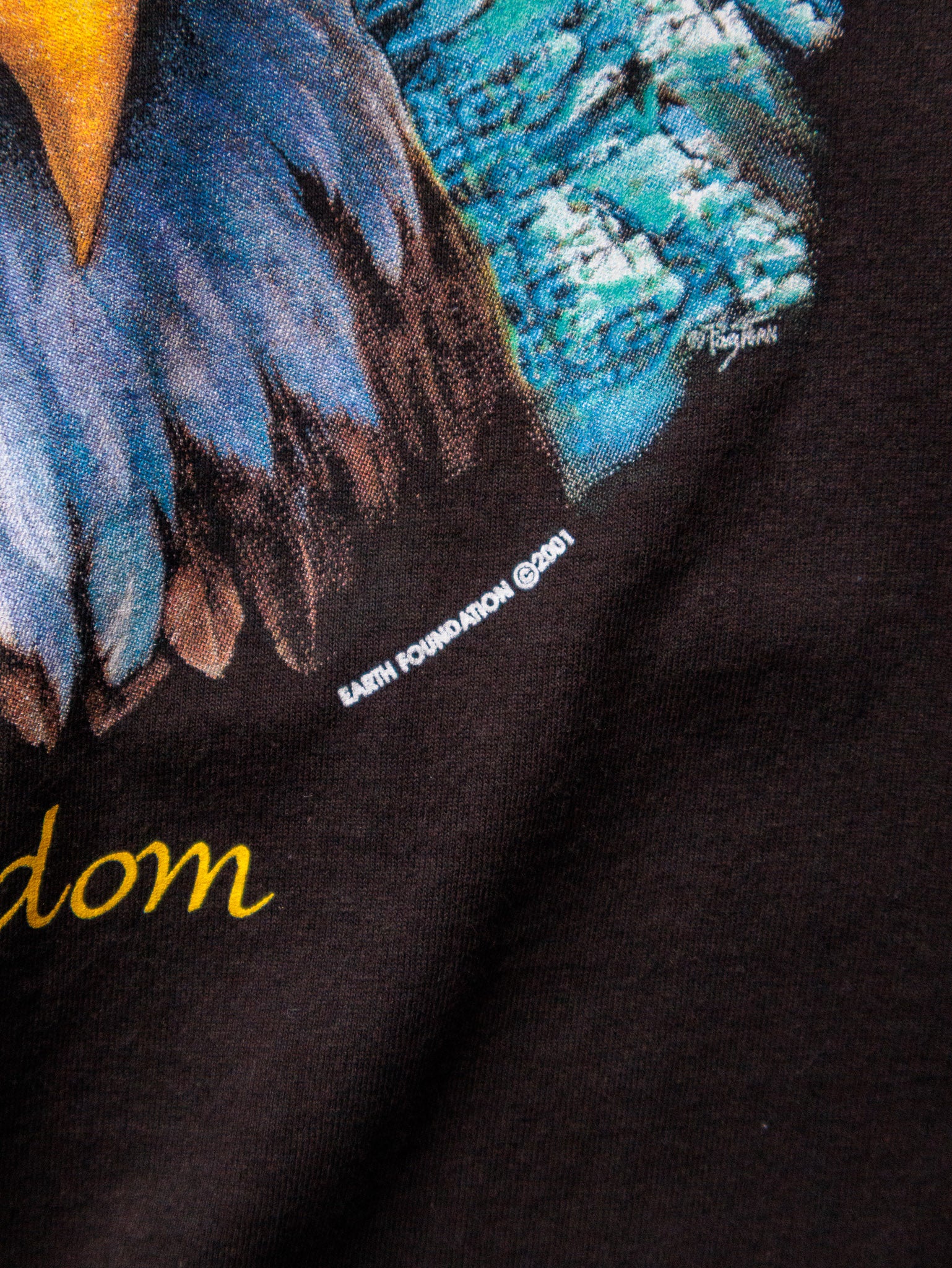 Vintage 2001 Black Eagle Freedom Graphic Tee (XL)