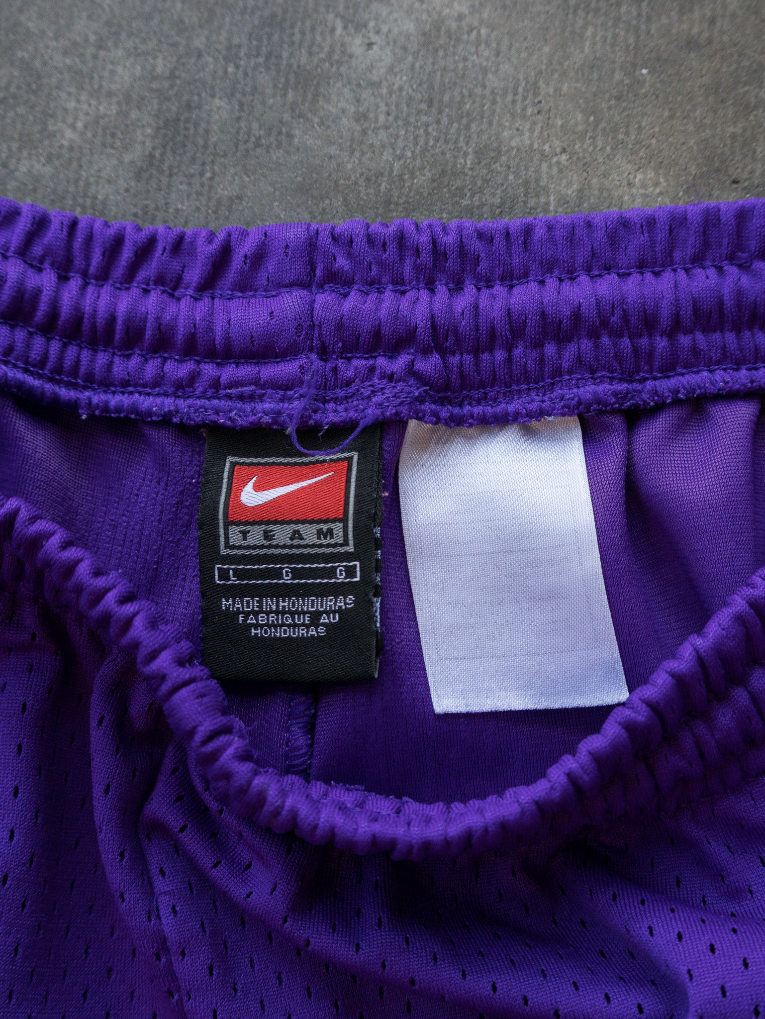 Vintage Purple Nike Shorts (L)
