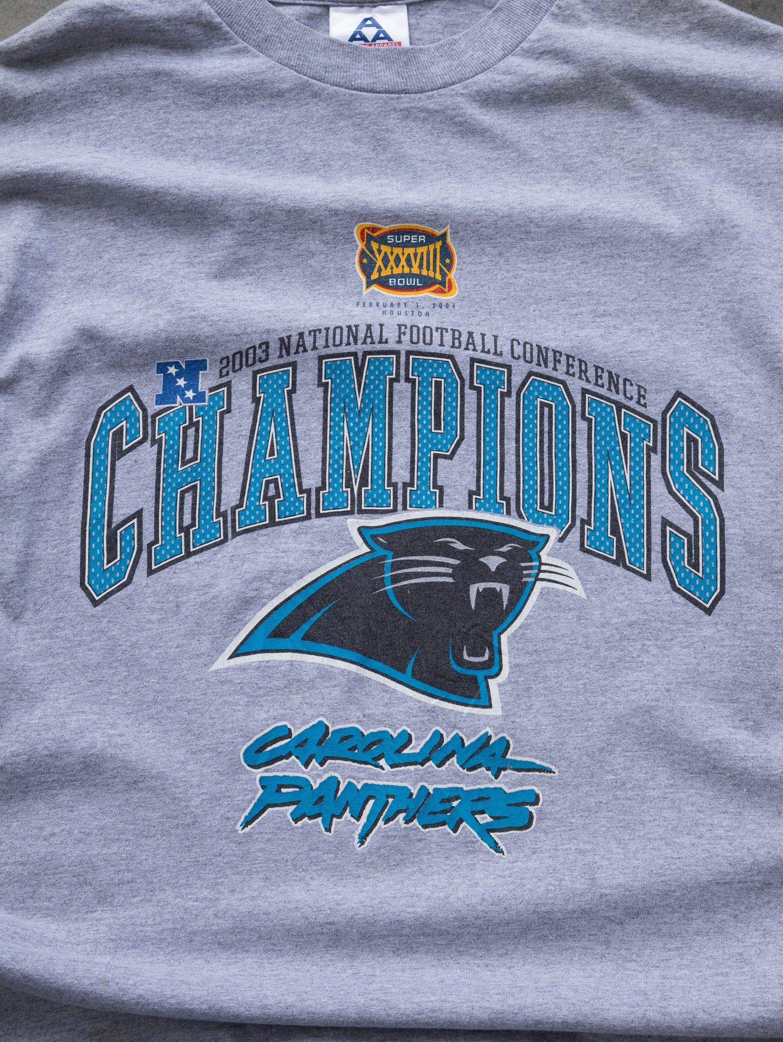 Vintage 2003 Carolina Panthers Champions Long Sleeve (L)