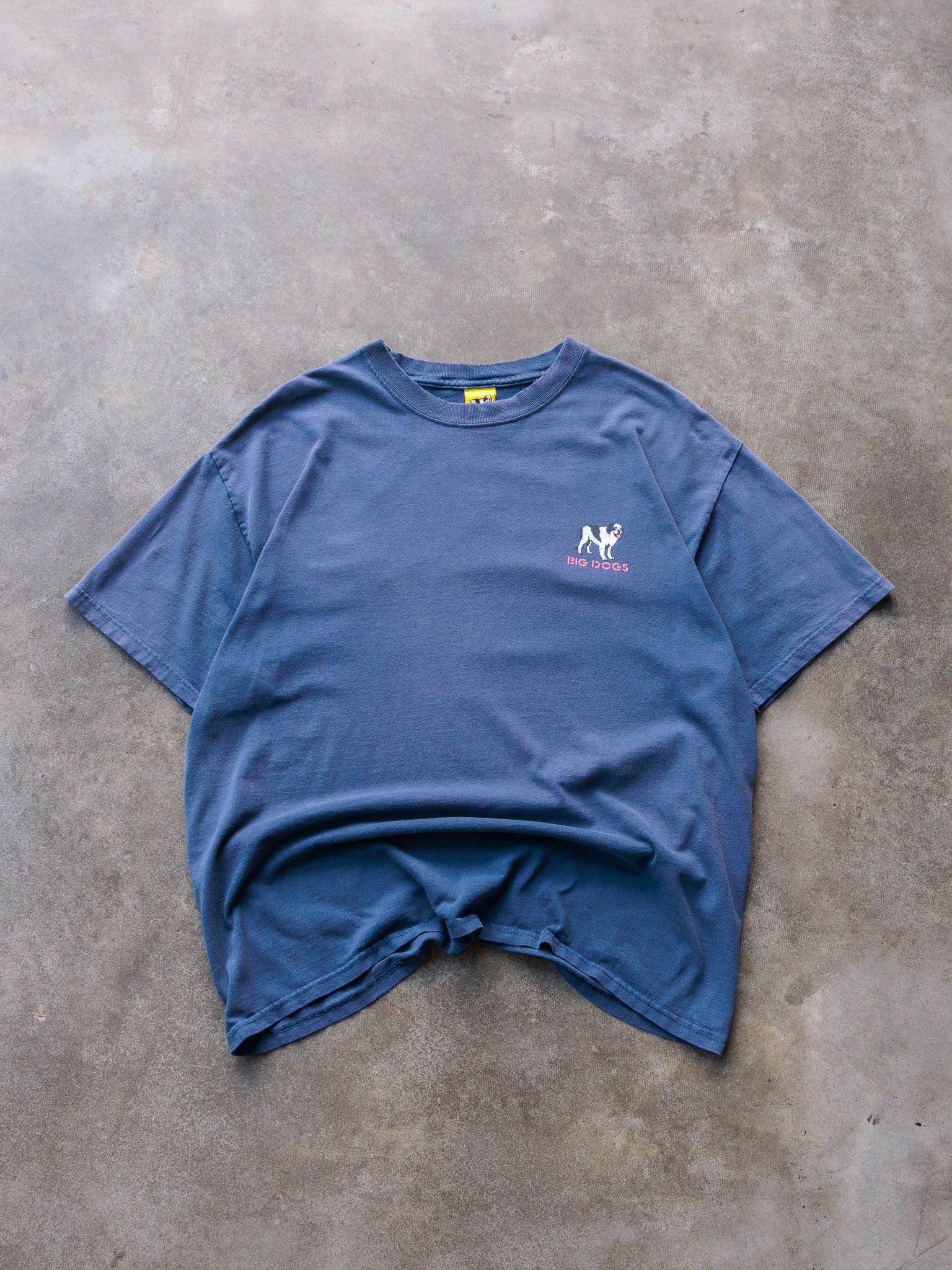 Vintage 90s Blue Big Dogs Just Do It Tomorrow Tee (L)