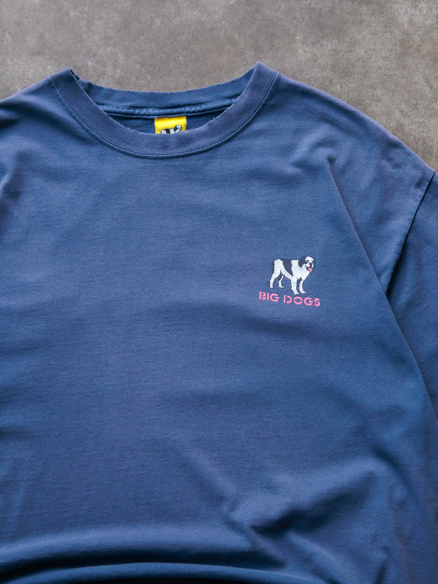 Vintage 90s Blue Big Dogs Just Do It Tomorrow Tee (L)