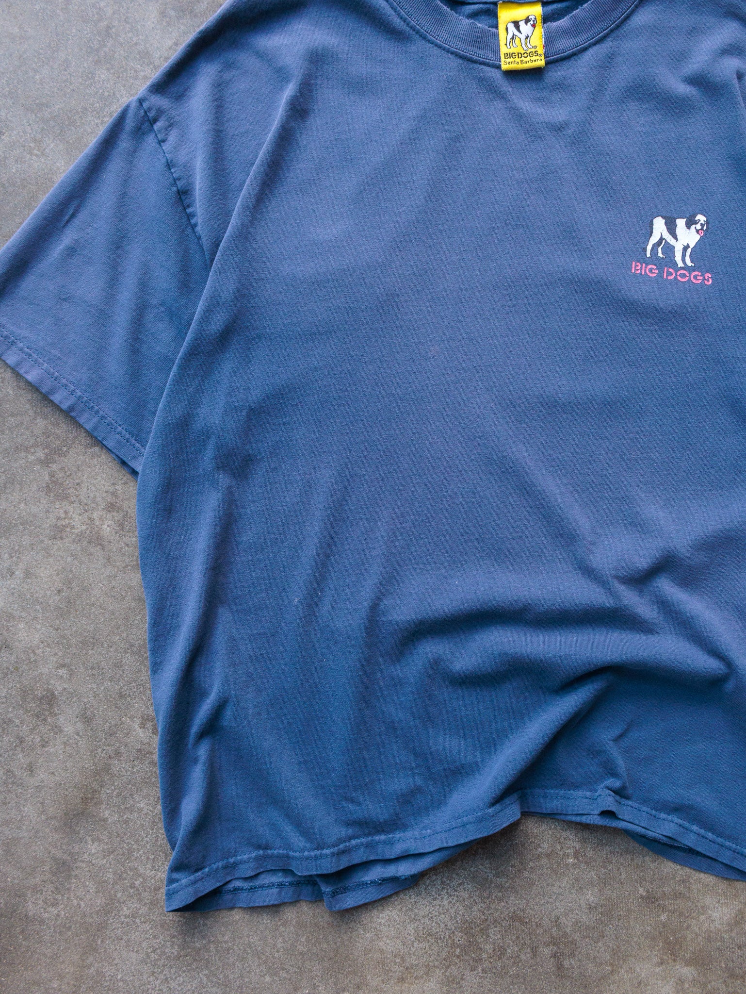 Vintage 90s Blue Big Dogs Just Do It Tomorrow Tee (L)