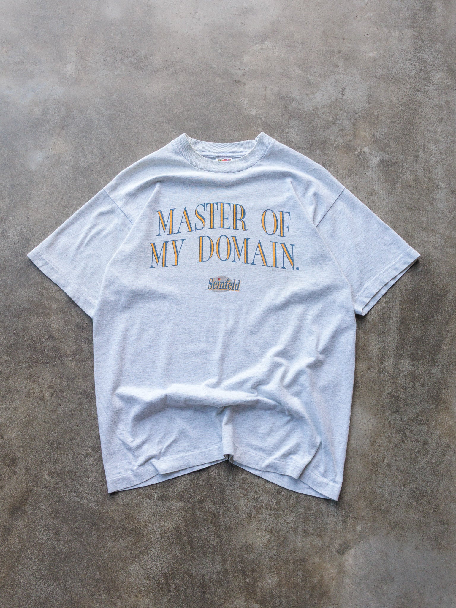 Vintage 1995 Grey Fruit of the Loom Seinfeld "Master of My Domain" Tee (L)