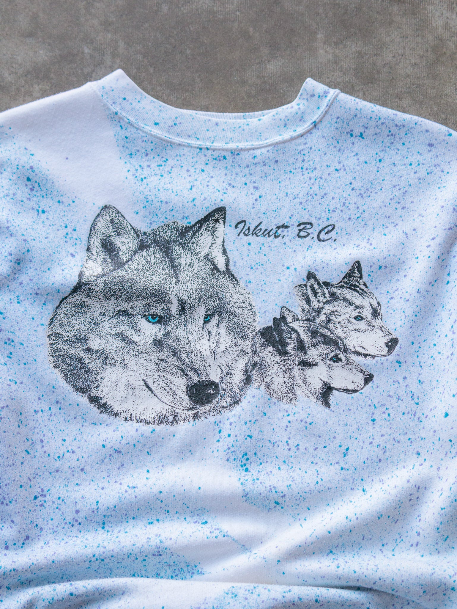 Vintage British Columbia Wolf Graphic Sweatshirt (L)