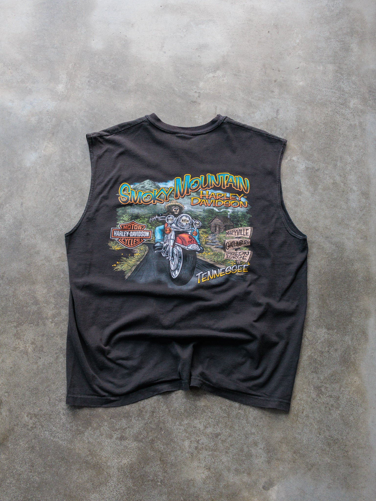 Vintage 2009 Harley-Davidson Smoky Mountain Tennessee Tank (XL)